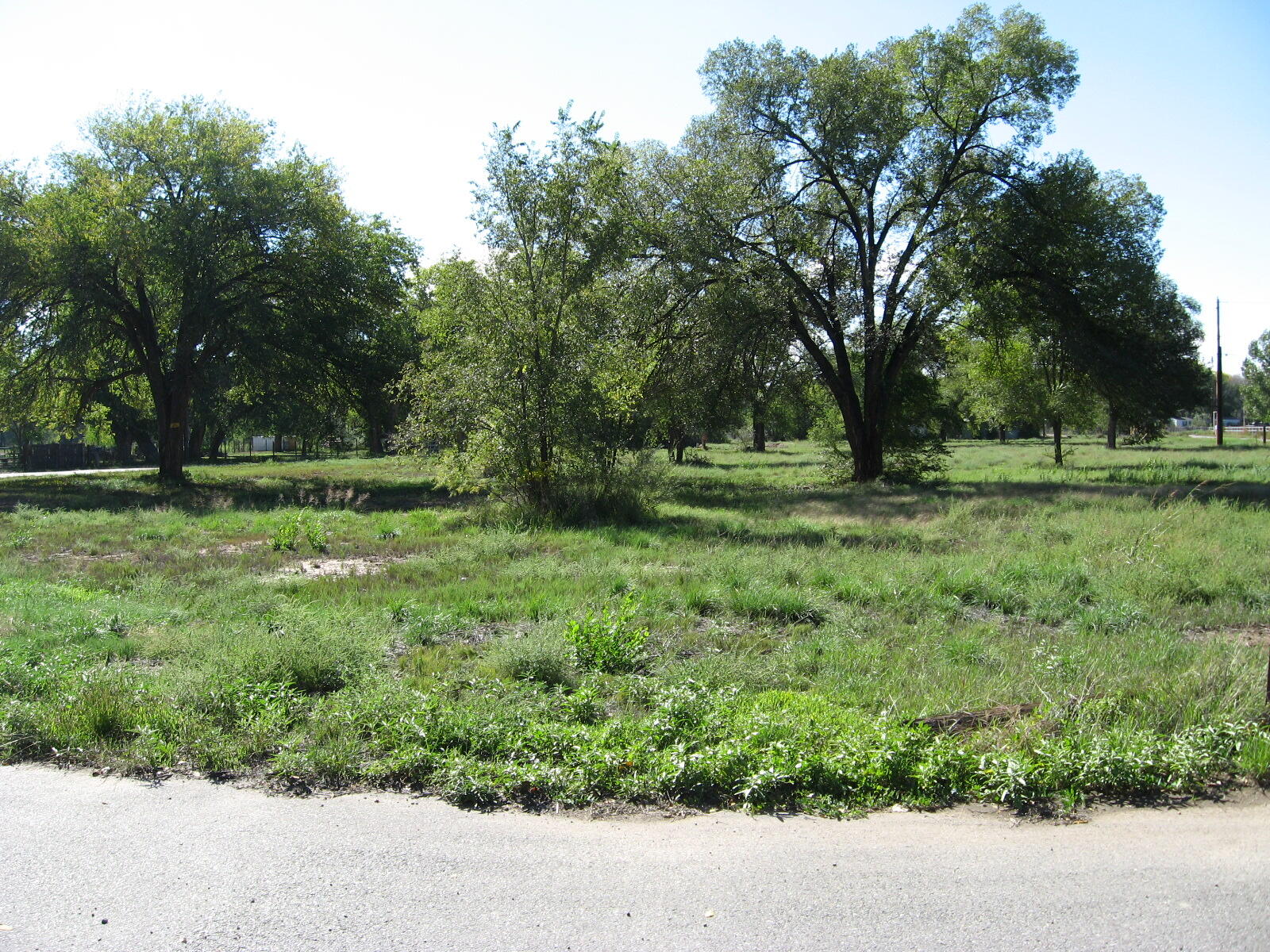 Homes for sale in Peralta, NM | 0 Forgotten Promise Tr4 Ln, Peralta, NM 87042 | MLS# 1093633