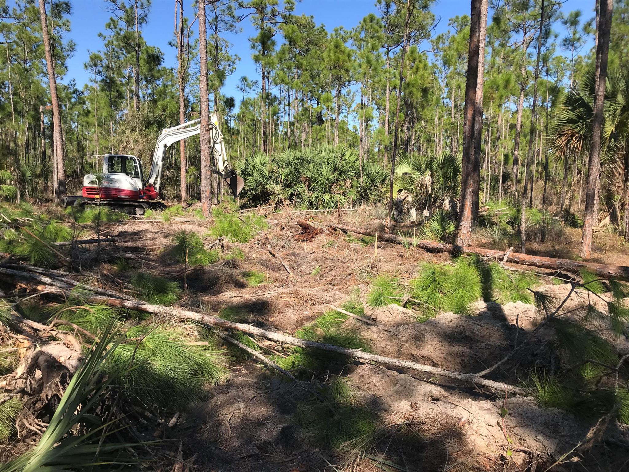 Homes for sale in Fellsmere, FL | 0 County 512 Road, Fellsmere, FL 32948 | MLS# R11135950