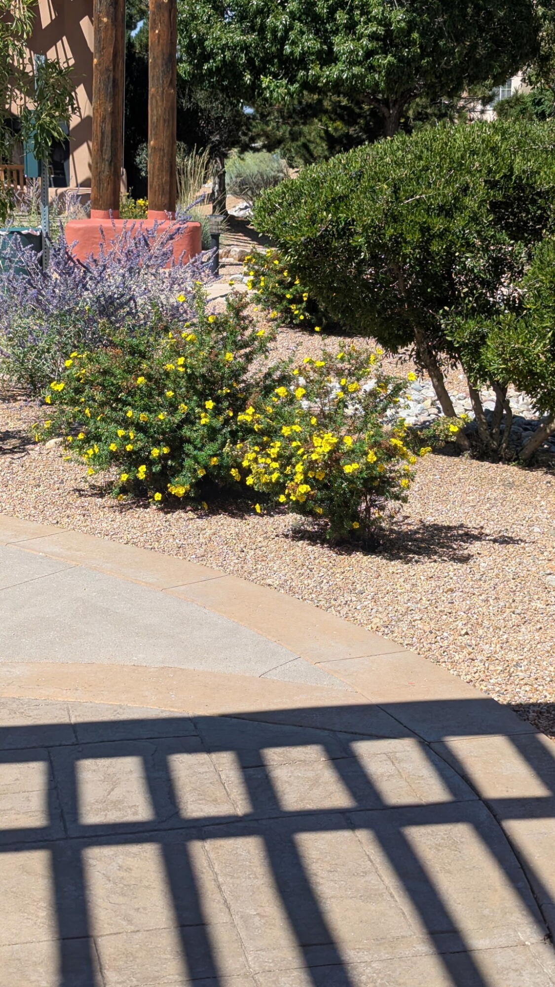 Homes for sale in Santa Fe, NM | 2210 Miguel Chavez Rd #UNIT 1423, Santa Fe, NM 87505 | MLS# 1093649