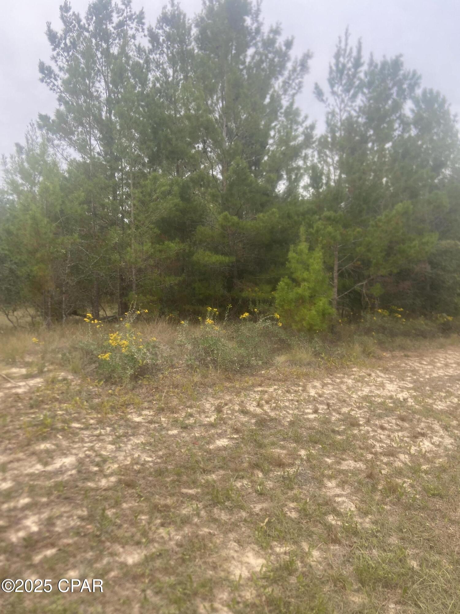 Image 4 For Lot 1 Falcon Drive