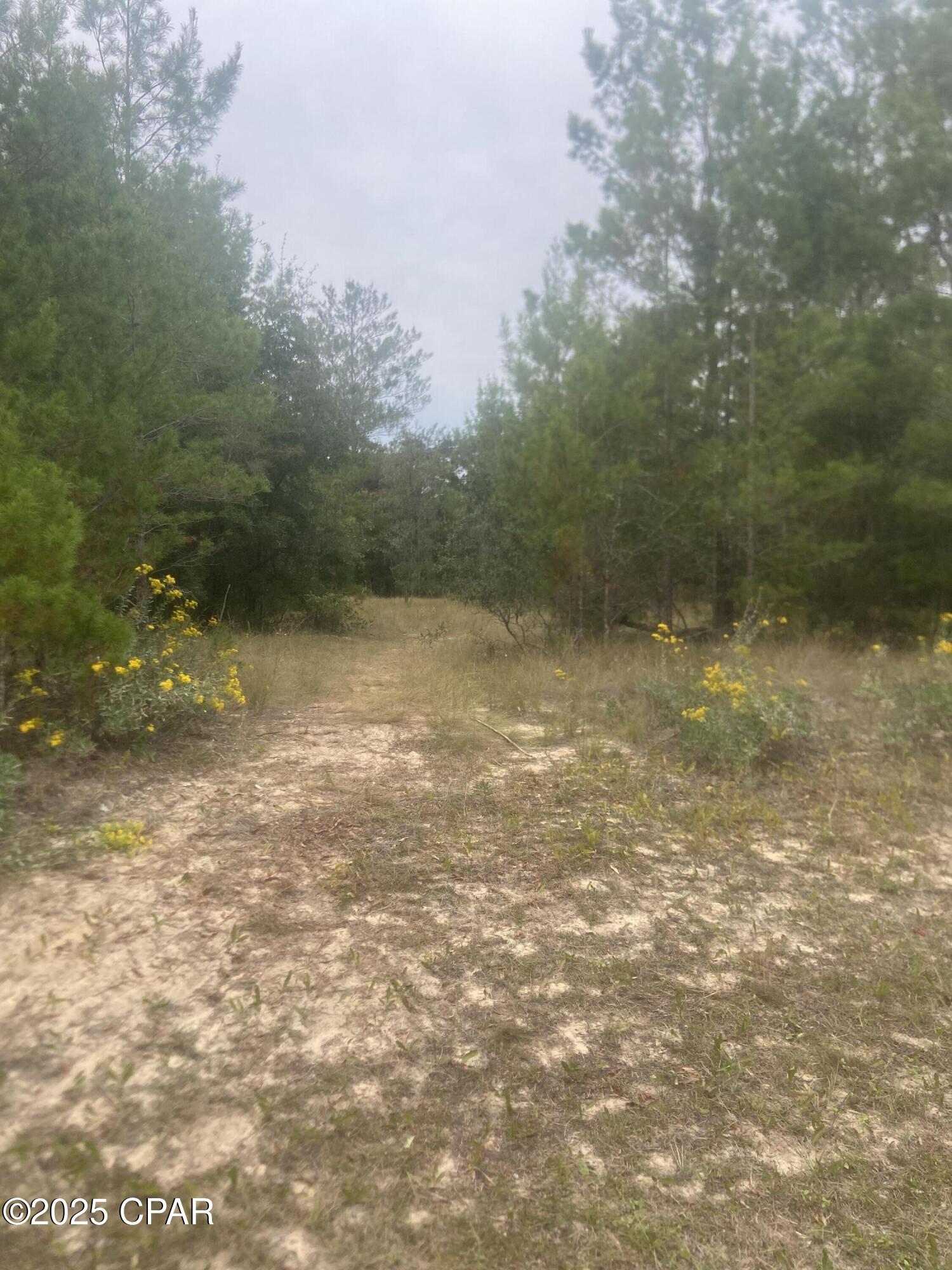 Image 5 For Lot 1 Falcon Drive