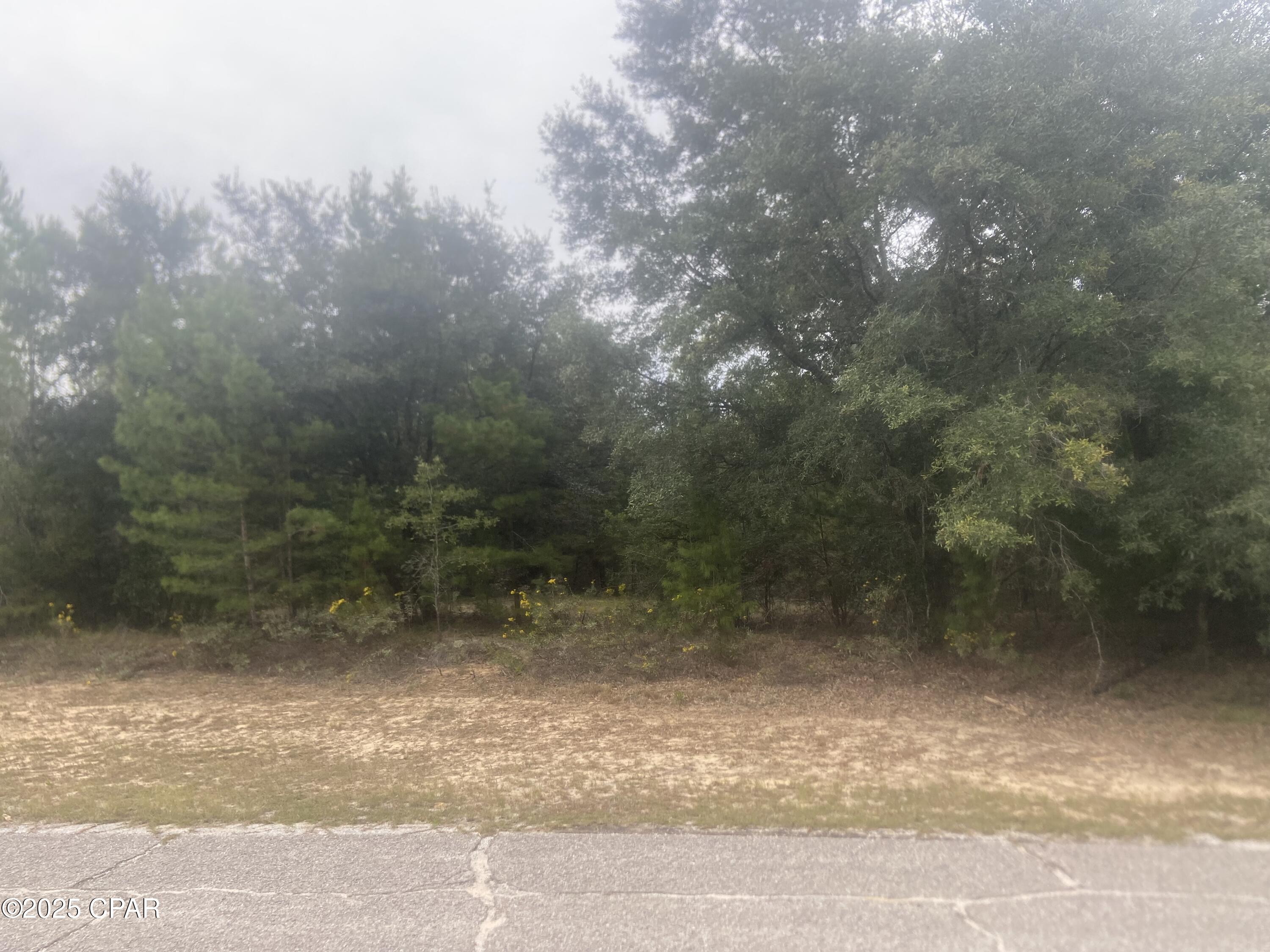 Image 6 For Lot 1 Falcon Drive