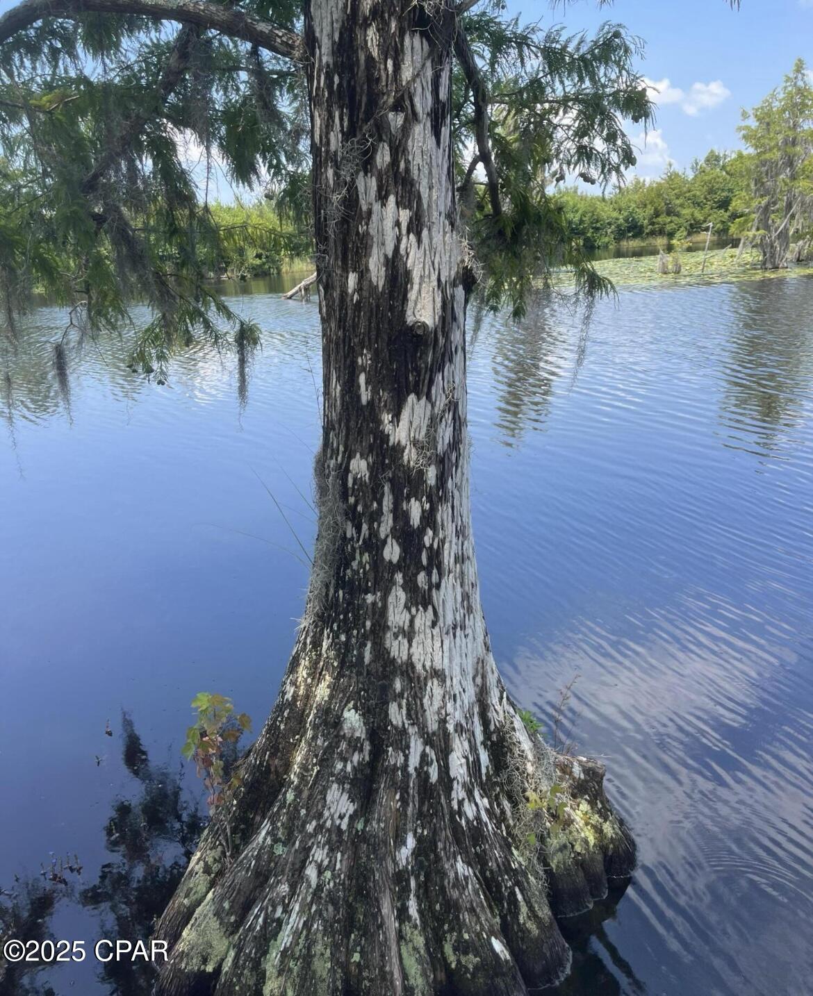 Image 4 For 9636 Indian Bluff Resort Lane