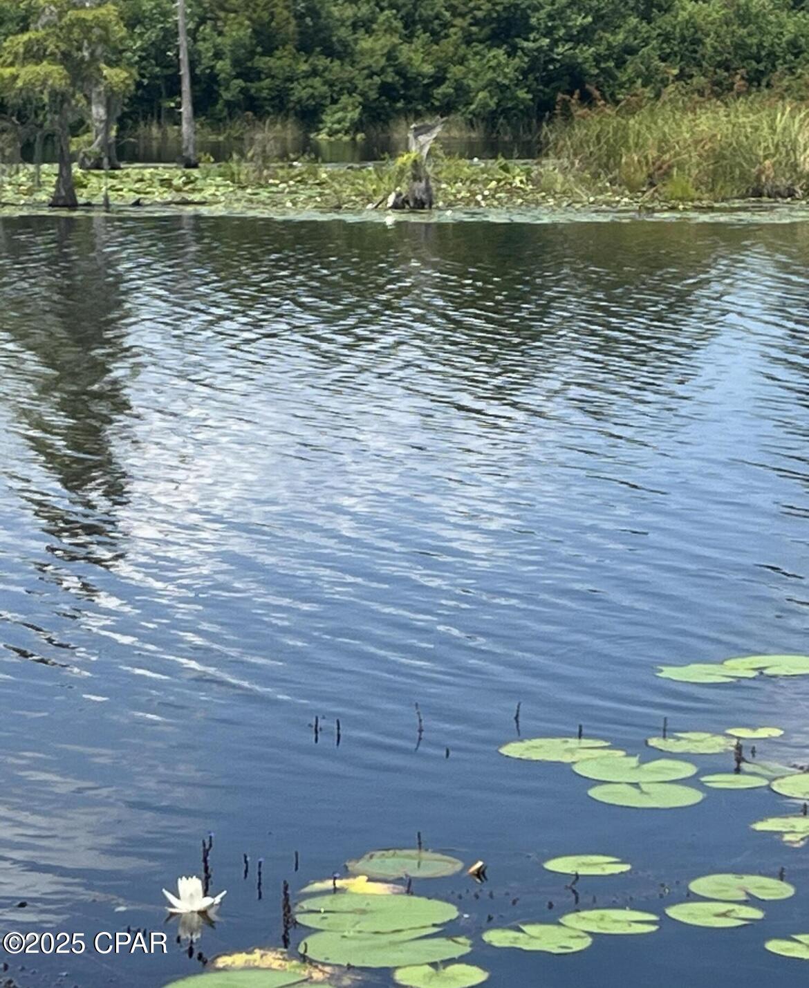 Image 8 For 9636 Indian Bluff Resort Lane