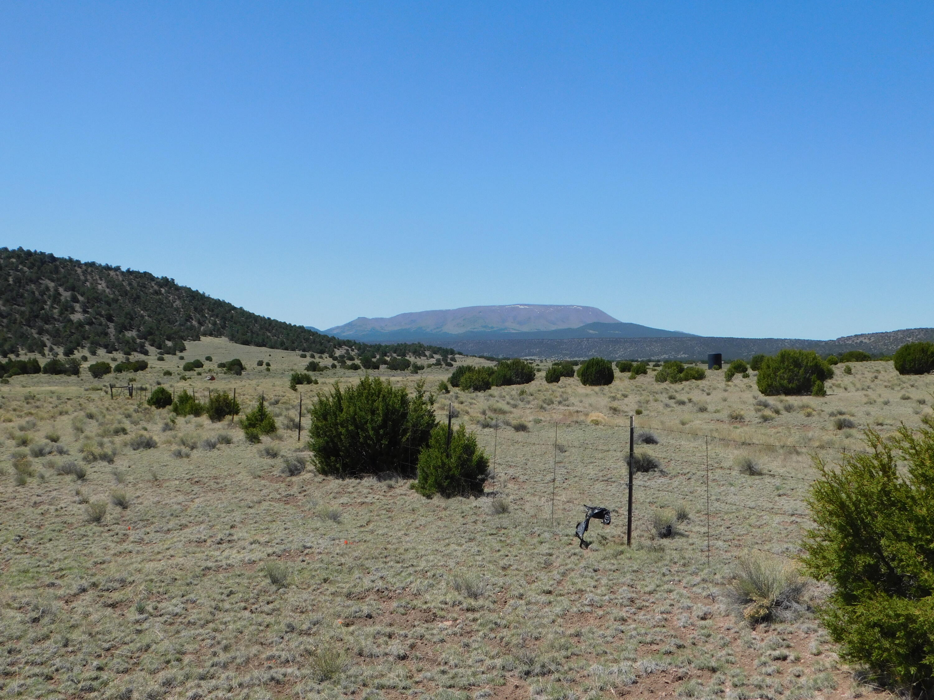 Homes for sale in Quemado, NM | 70 Acres South Coyote Trail, Quemado, NM 87829 | MLS# 1093670