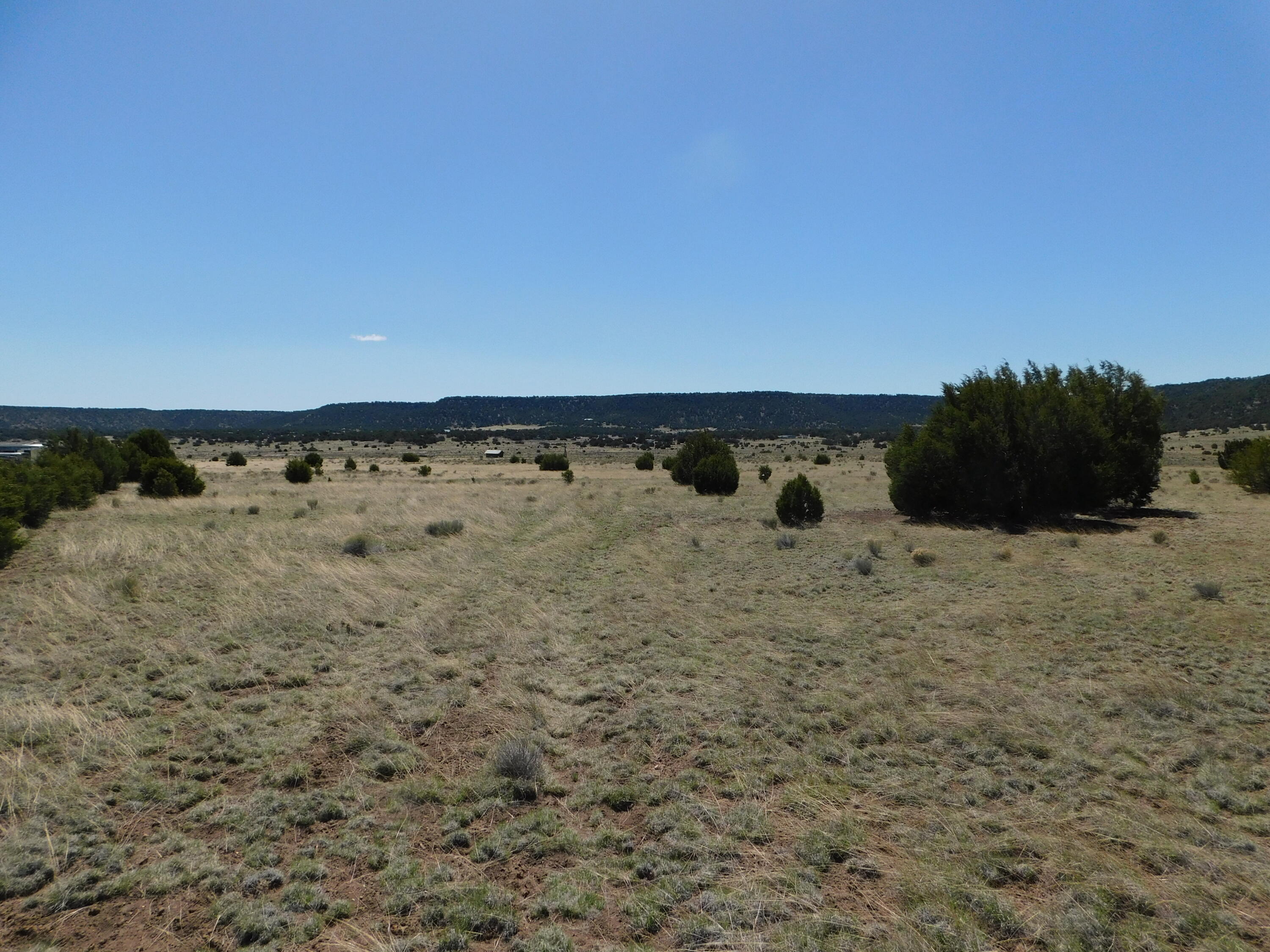 Homes for sale in Quemado, NM | 70 Acres South Coyote Trail, Quemado, NM 87829 | MLS# 1093670