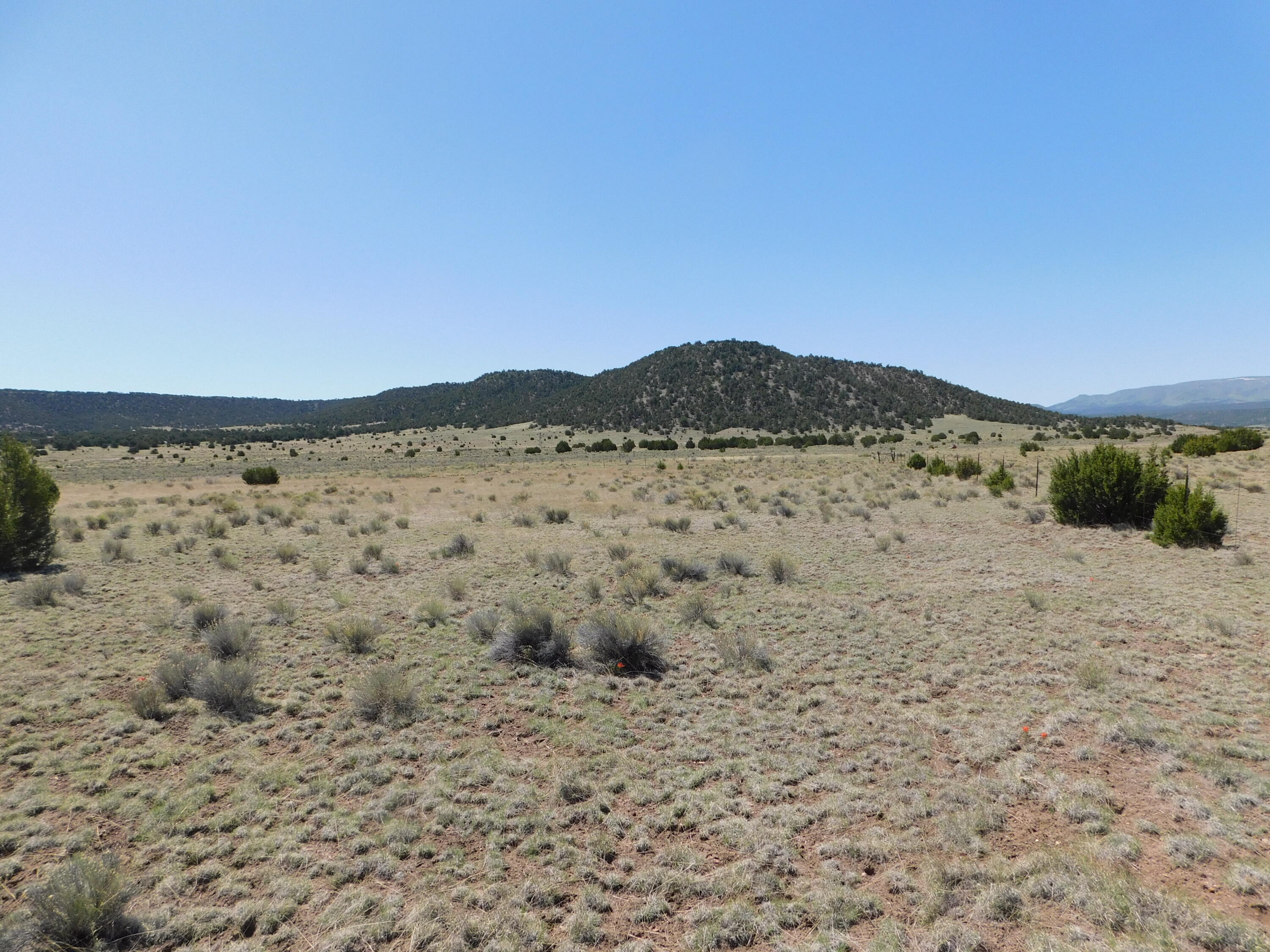 Homes for sale in Quemado, NM | 70 Acres South Coyote Trail, Quemado, NM 87829 | MLS# 1093670