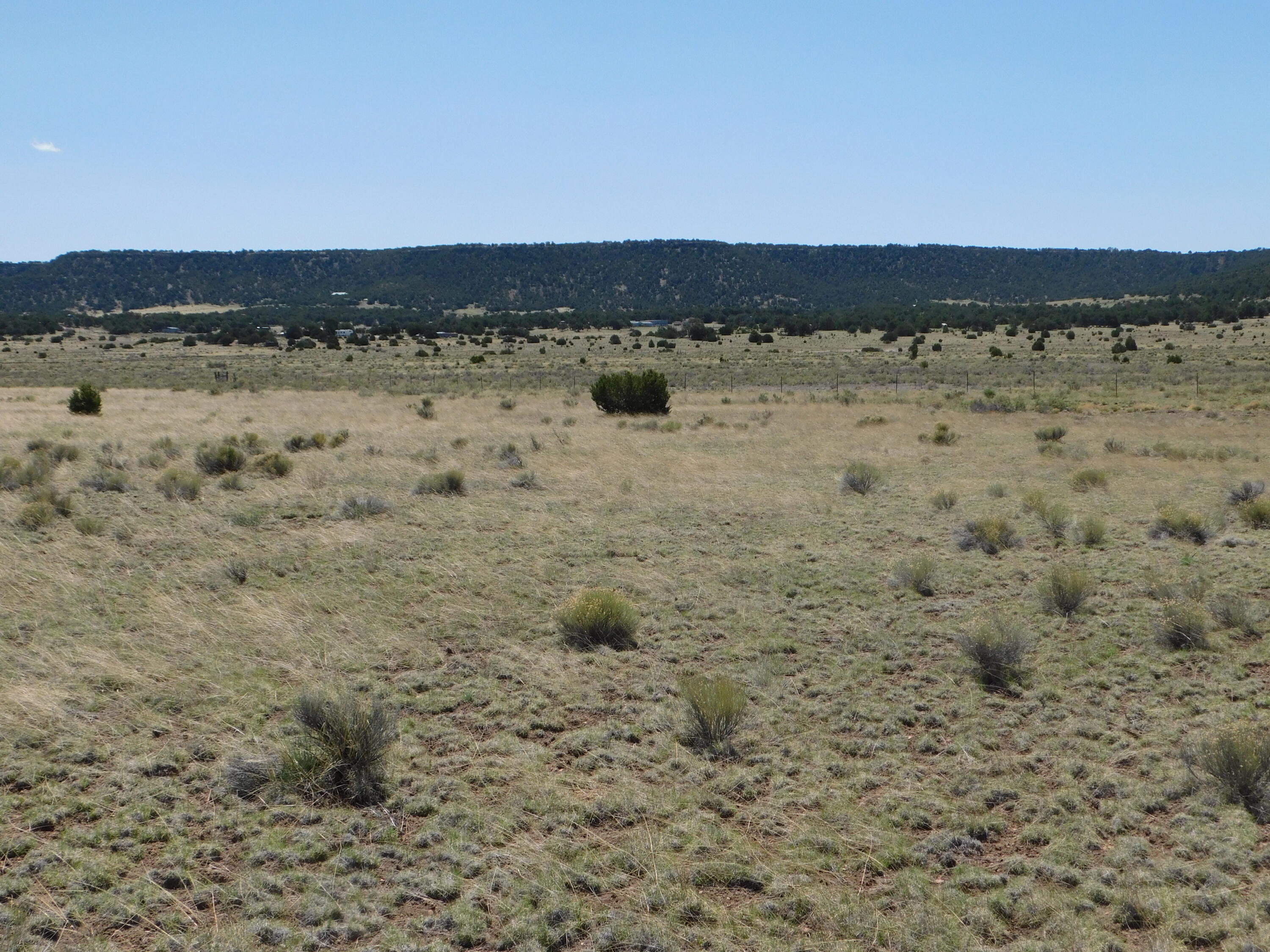 Homes for sale in Quemado, NM | 70 Acres South Coyote Trail, Quemado, NM 87829 | MLS# 1093670