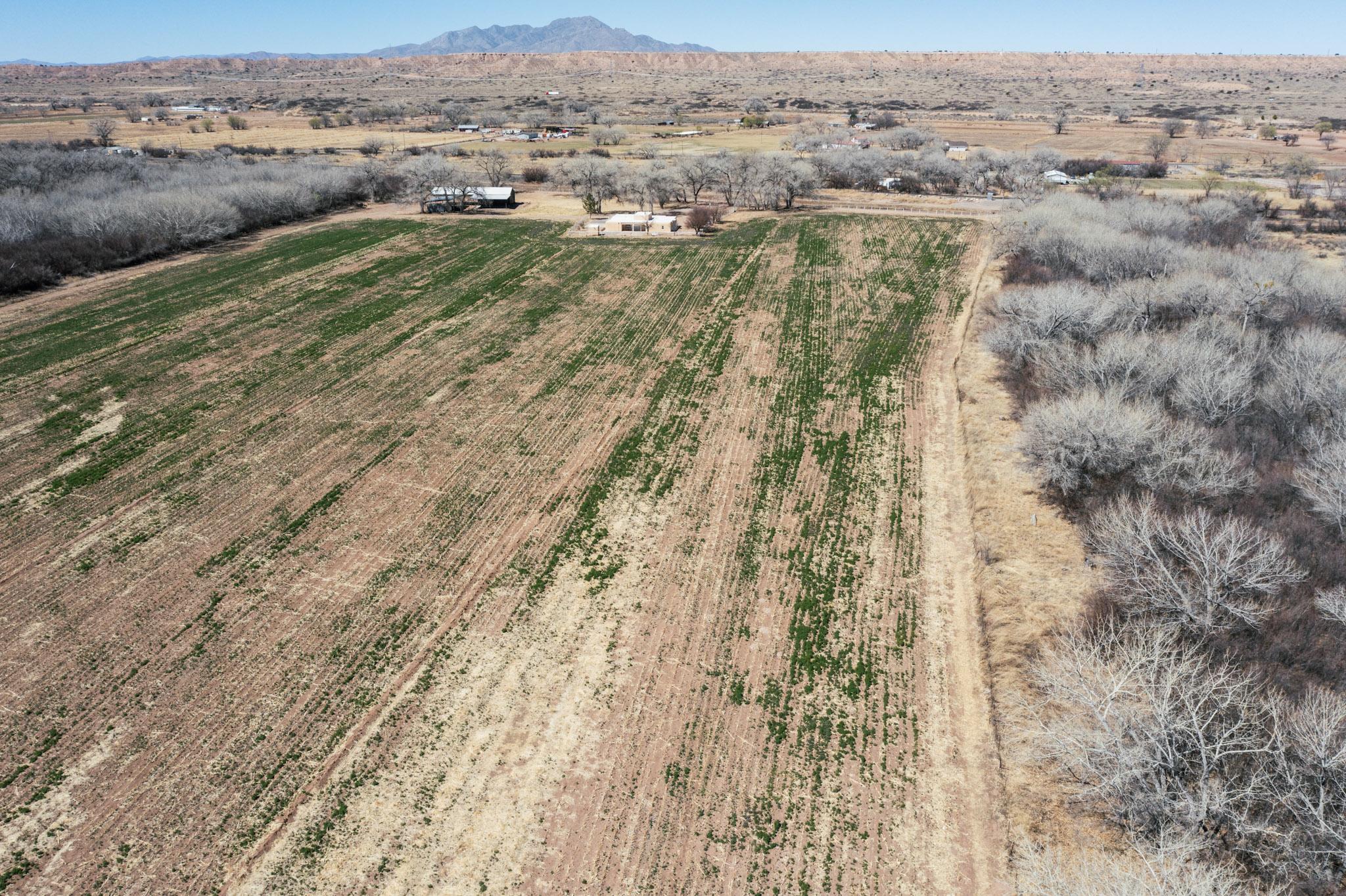 Homes for sale in Bosque, NM | 22 Paizalas Dr, Bosque, NM 87006 | MLS# 1093689