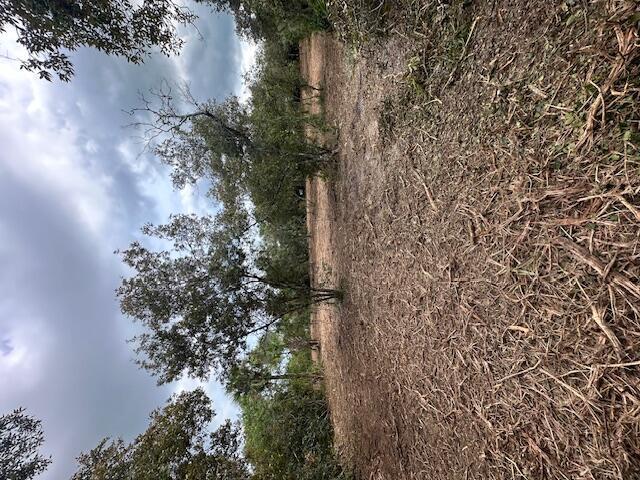 Homes for sale in Fort Pierce, FL | 0 Tbd, Fort Pierce, FL 34949 | MLS# R11136350