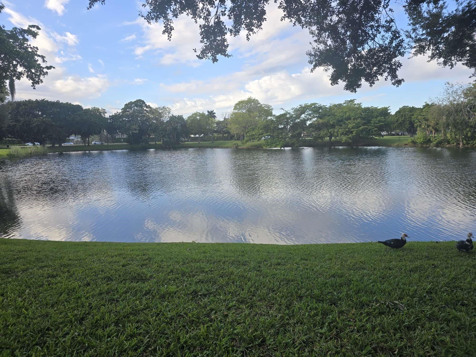 Homes for sale in Sunrise, FL | 3567 Nw 94th Ave #4D, Sunrise, FL 33351 | MLS# F10534241