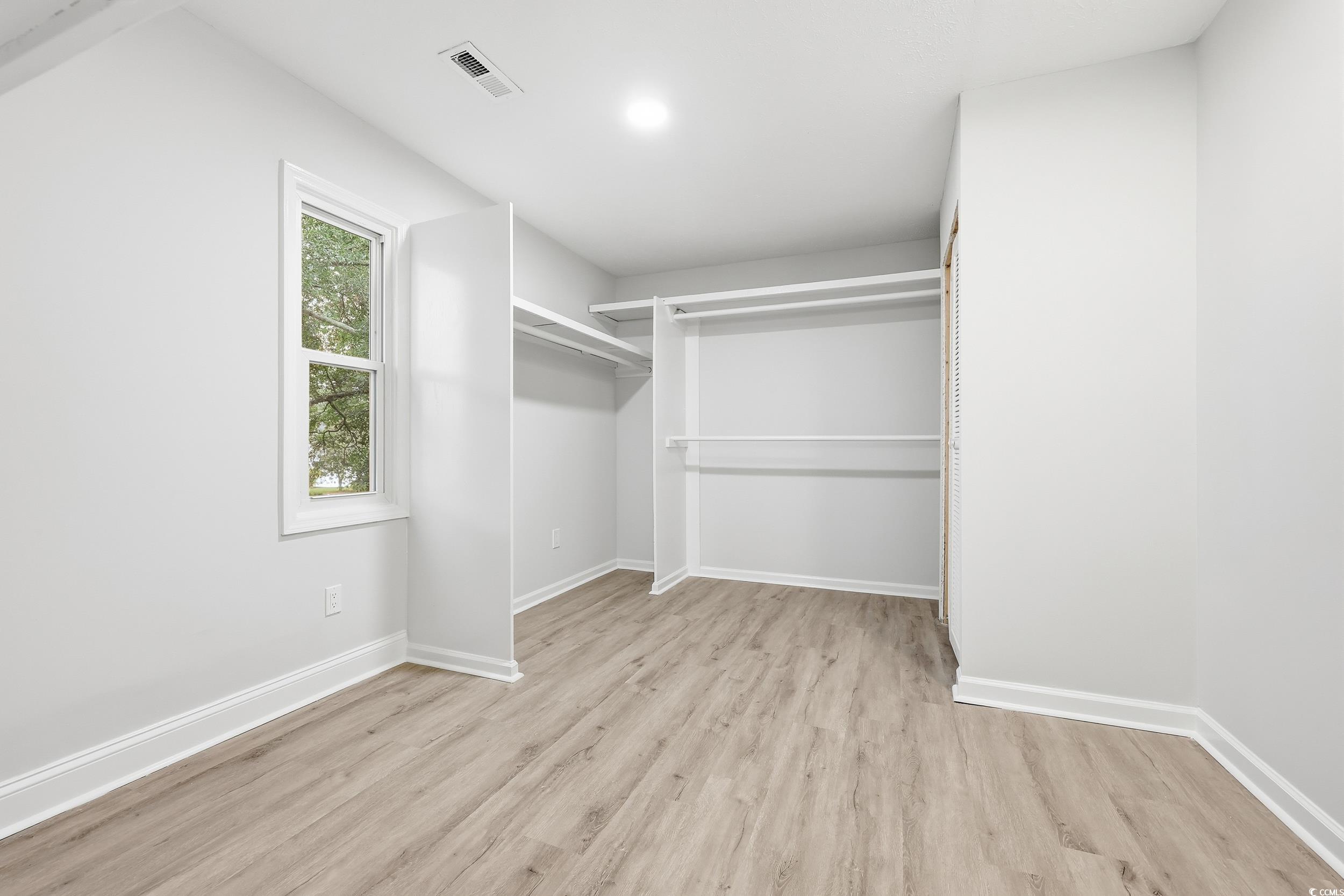 Spacious closet with light wood-type flooring