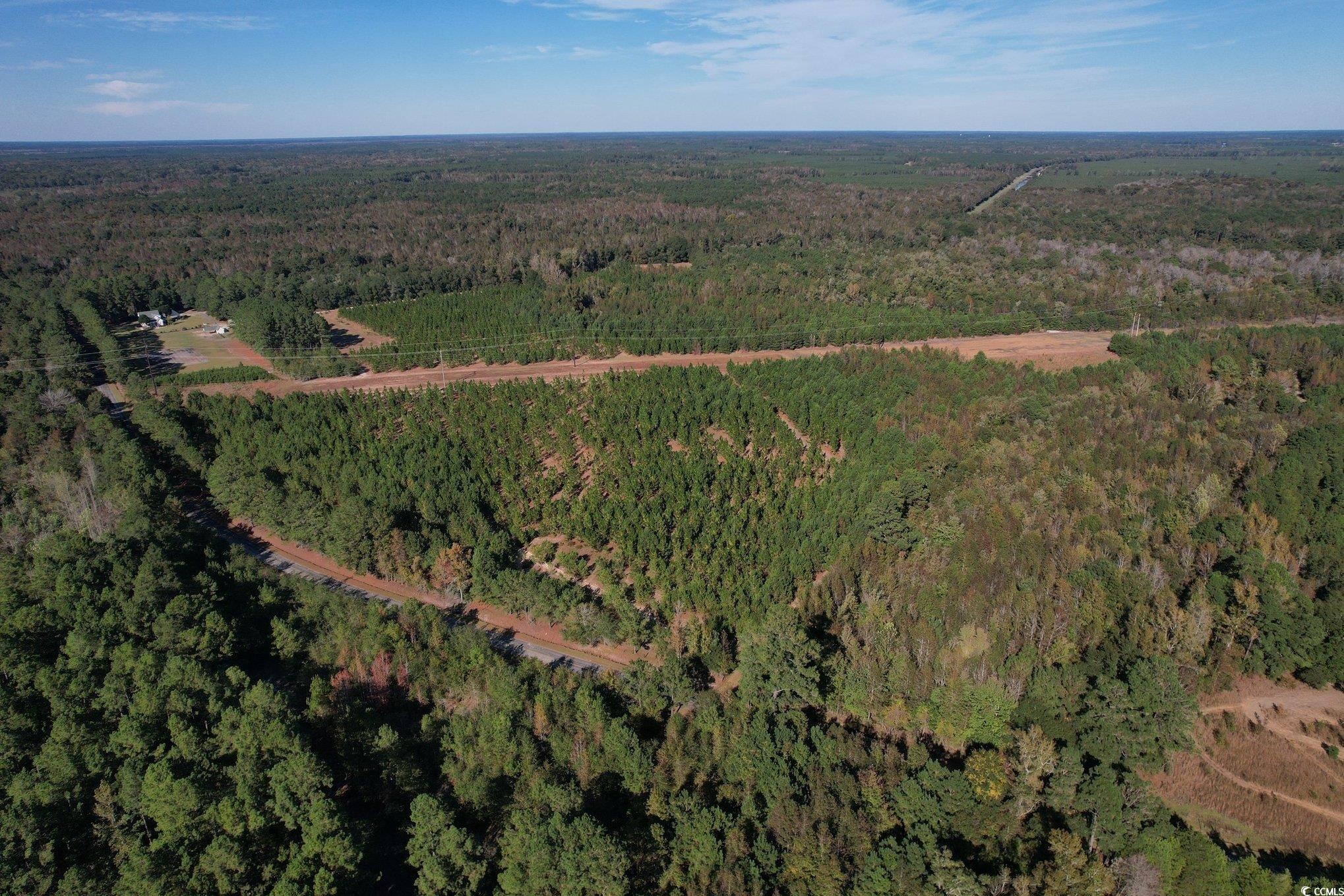 TBD Sand Plant Rd. Nichols, SC 29581