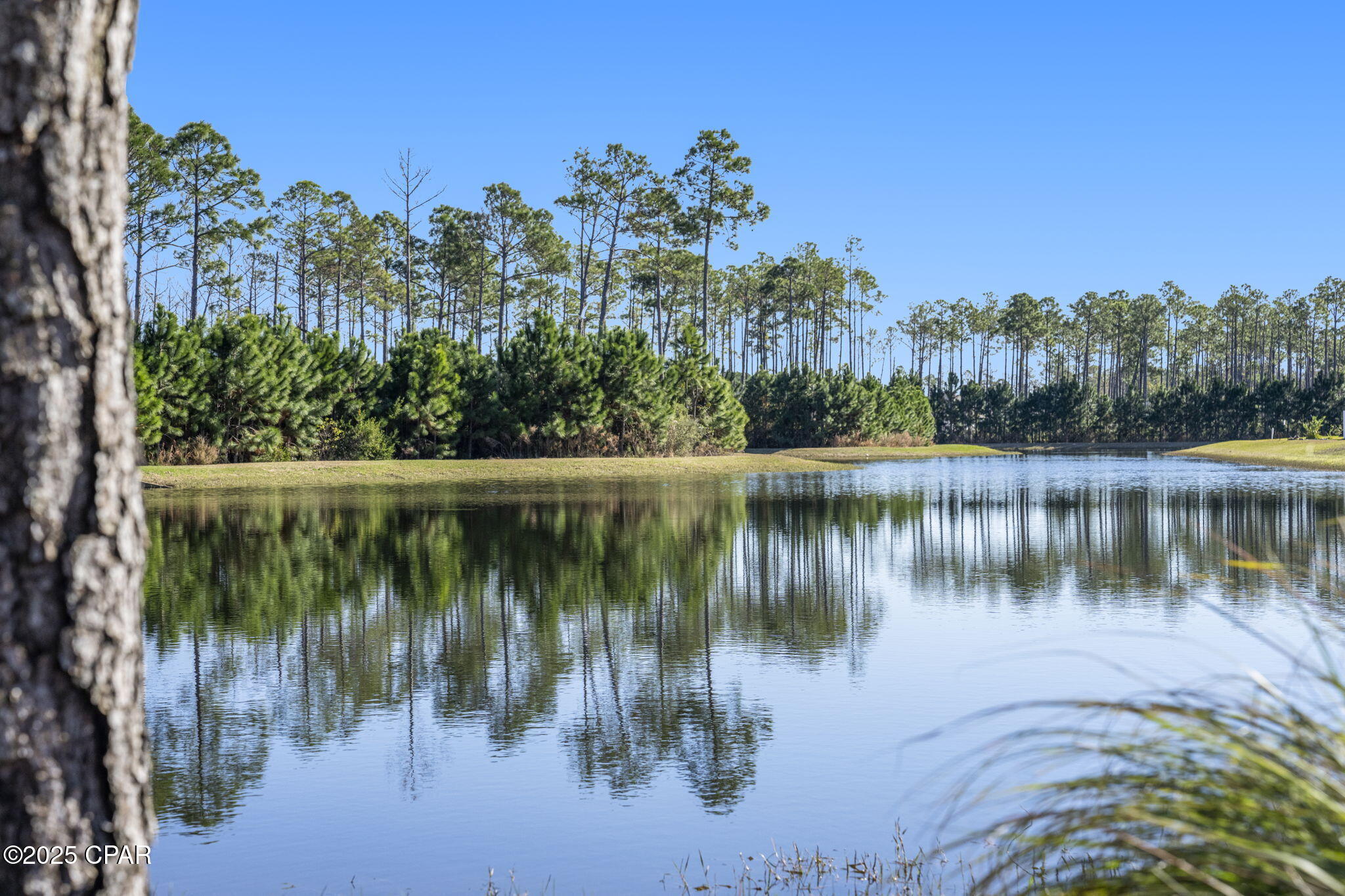 Image 66 For 443 Locksley Drive