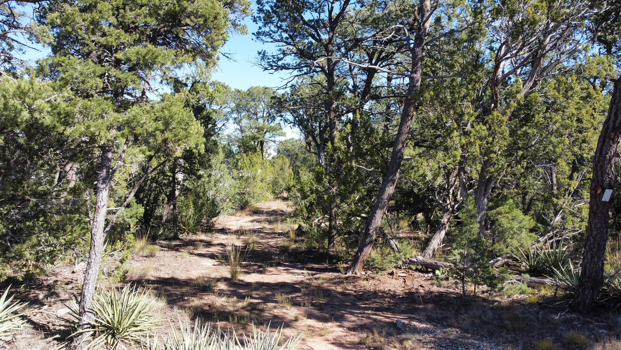 Homes for sale in Edgewood, NM | Ogaz Lp, Edgewood, NM 87015 | MLS# 1093715