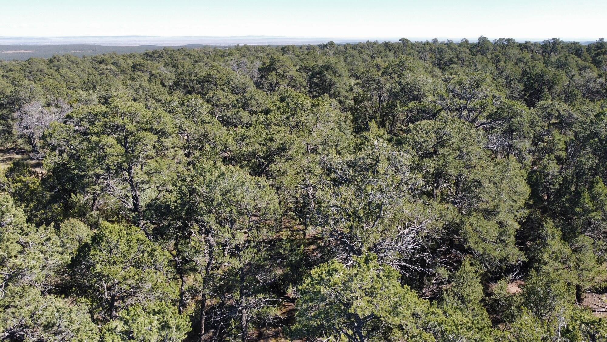 Homes for sale in Edgewood, NM | Ogaz Lp, Edgewood, NM 87015 | MLS# 1093715