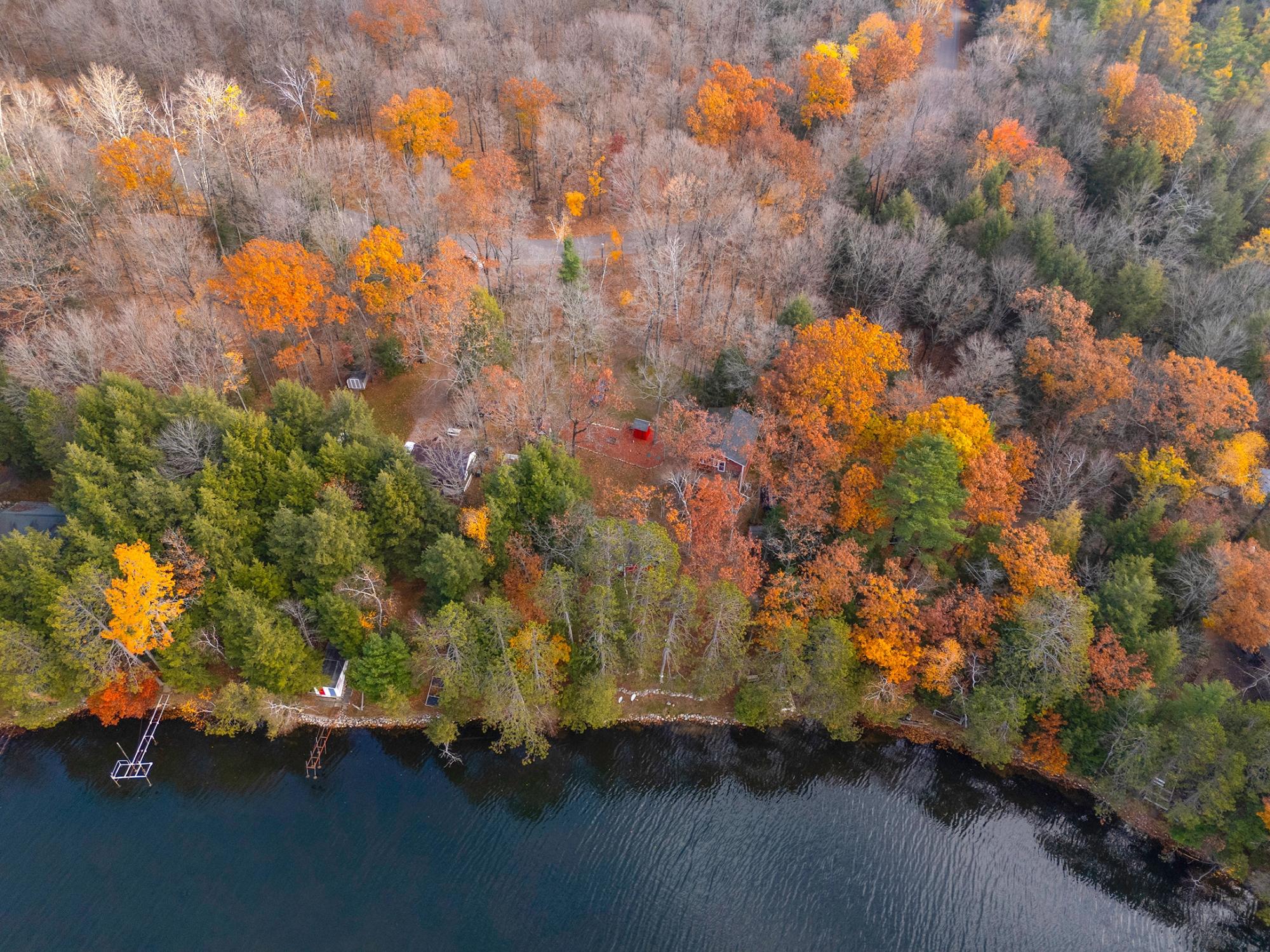 Pickerel Lake (C) Property 9357 Pickerel Lake Rd Photo 39