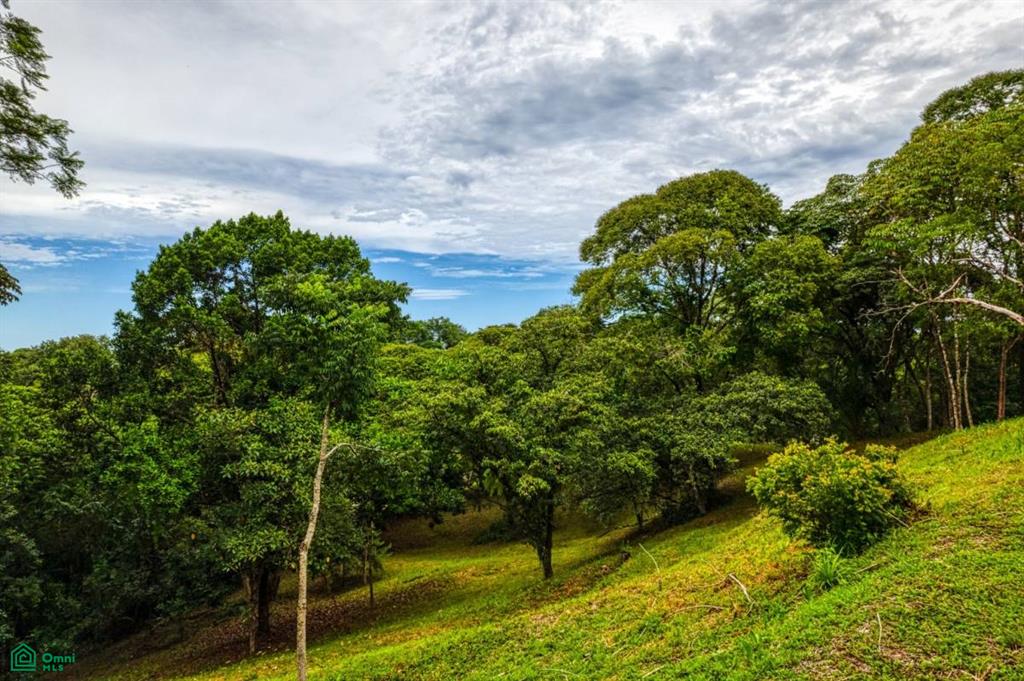 0 bed Land For Sale in Osa, Puntarenas - 1