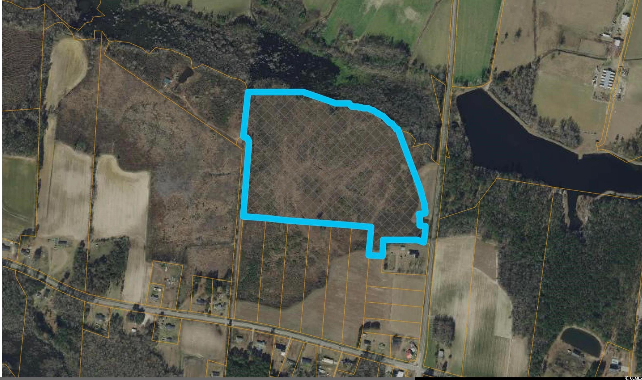 Homes for sale in Galivants Ferry, SC | Tbd J H Martin Rd, Galivants Ferry, SC 29544 | MLS# 2526229