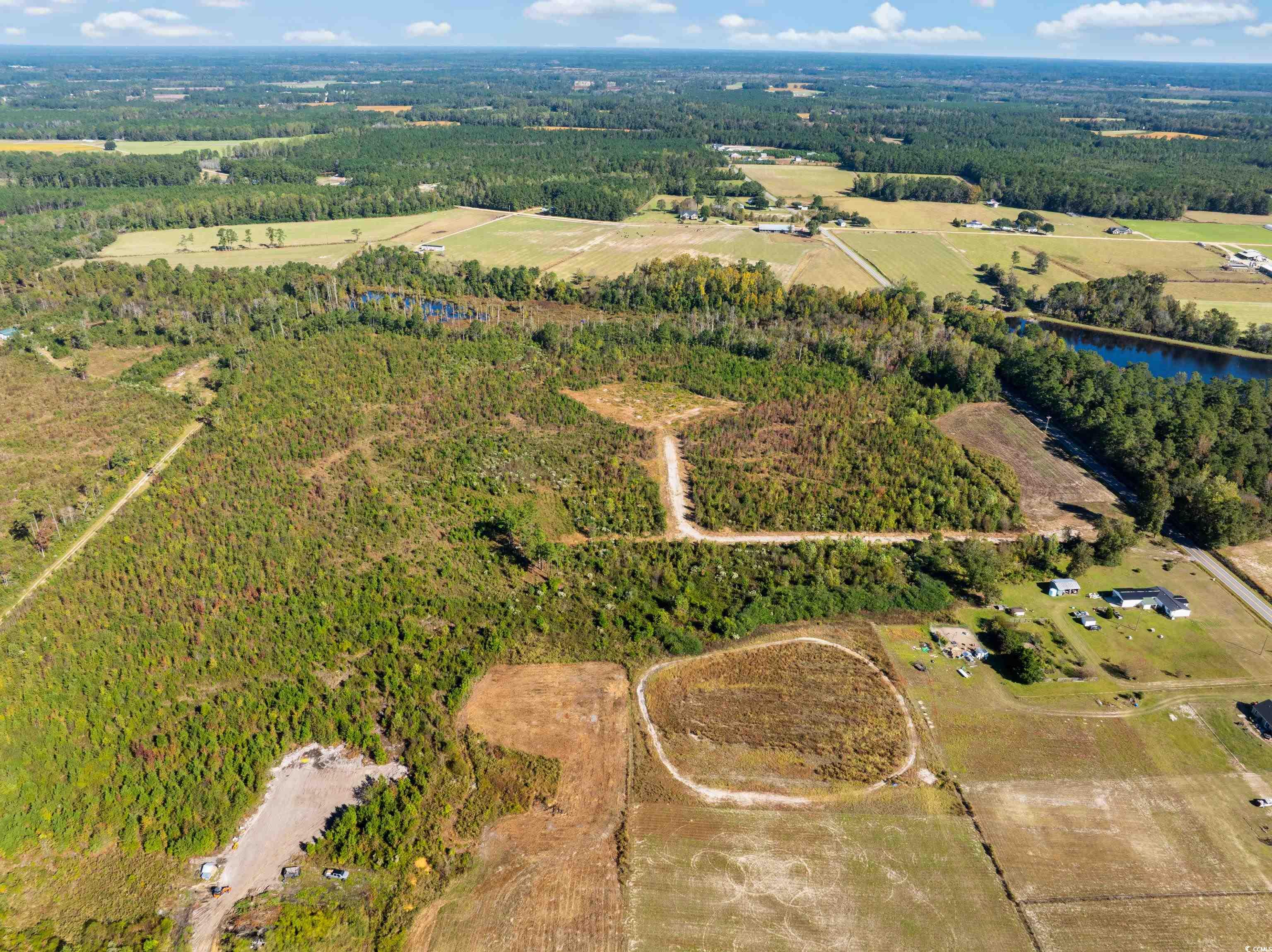 Homes for sale in Galivants Ferry, SC | Tbd J H Martin Rd, Galivants Ferry, SC 29544 | MLS# 2526229