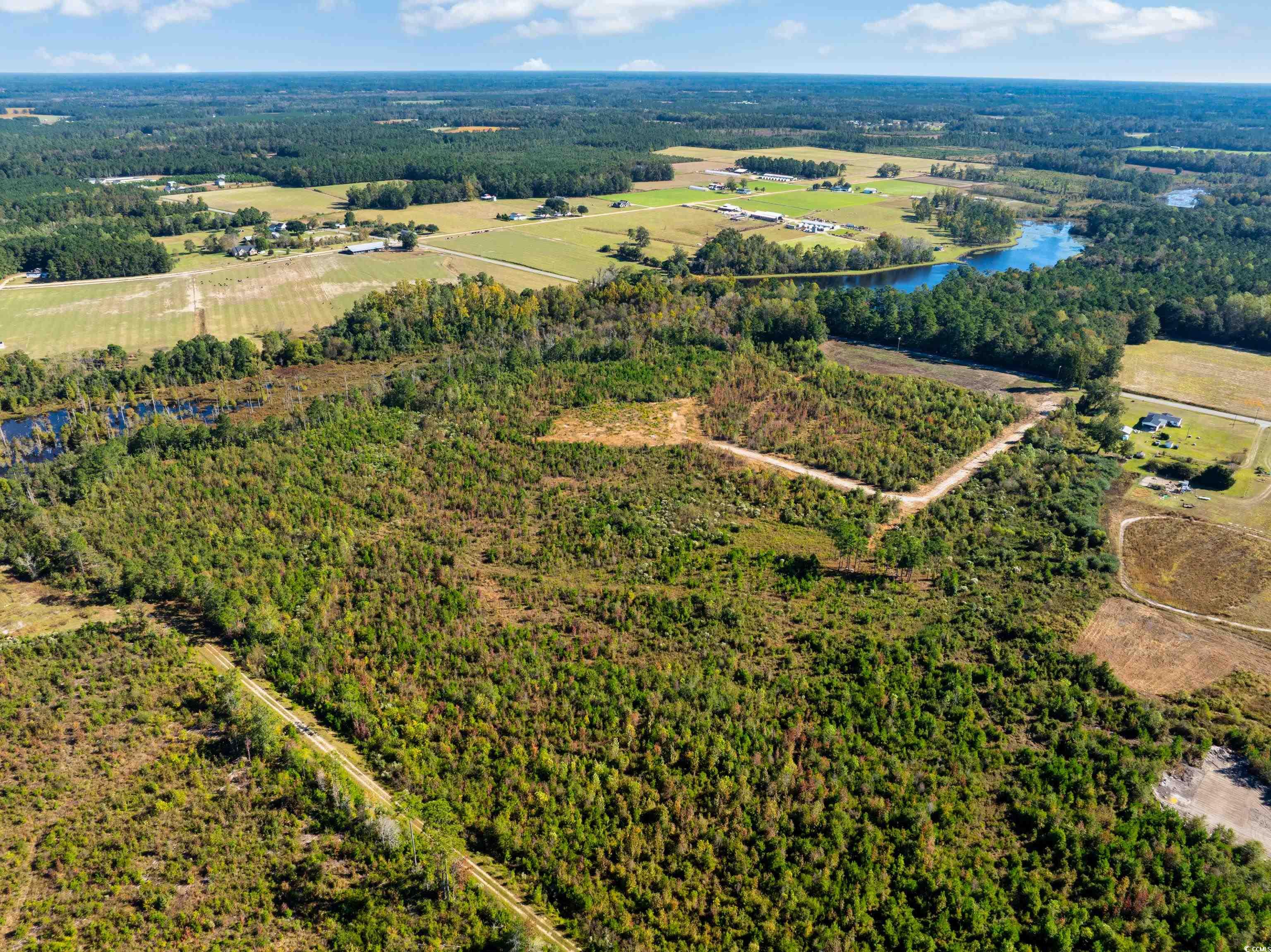 Homes for sale in Galivants Ferry, SC | Tbd J H Martin Rd, Galivants Ferry, SC 29544 | MLS# 2526229