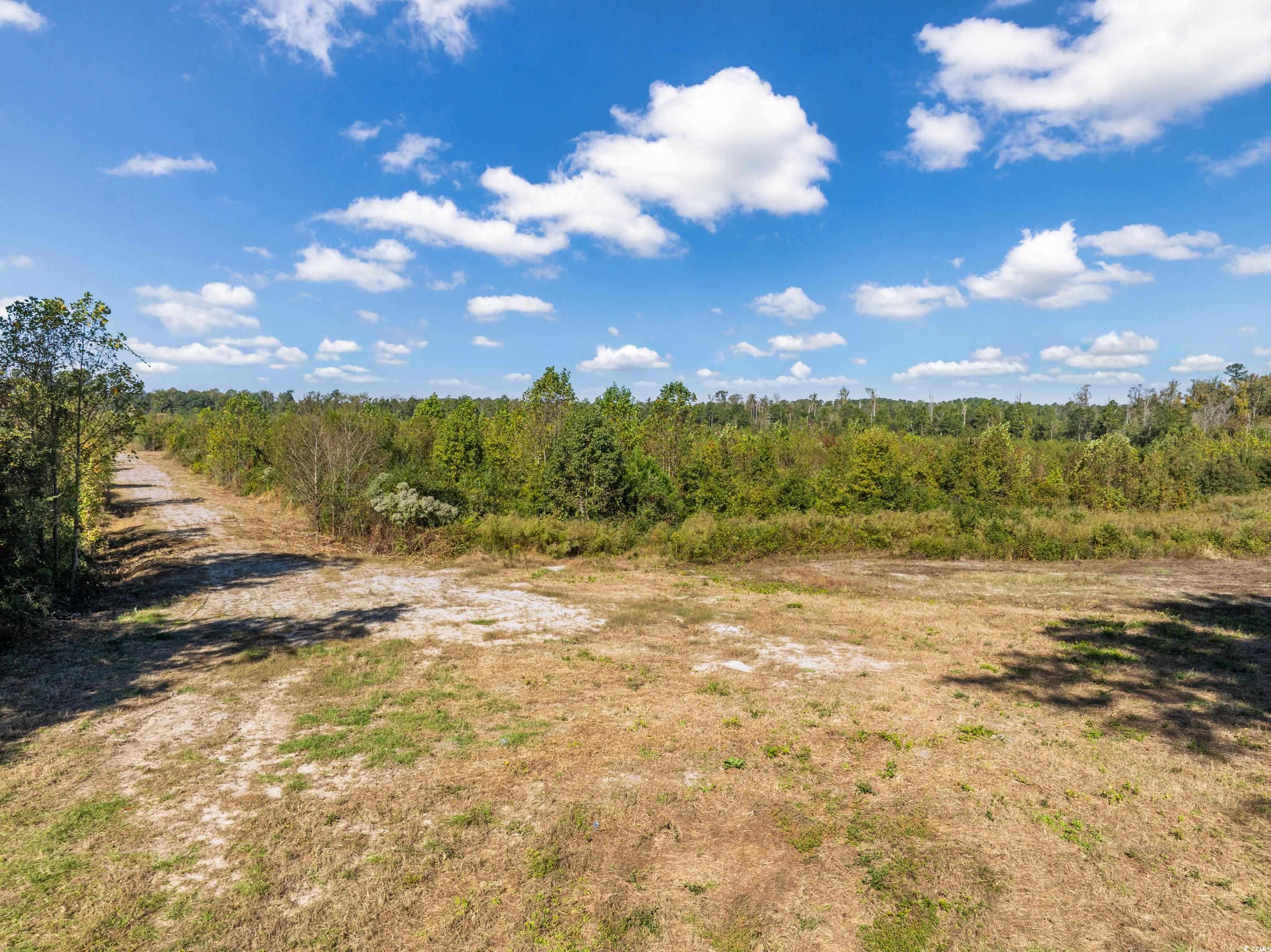 Homes for sale in Galivants Ferry, SC | Tbd J H Martin Rd, Galivants Ferry, SC 29544 | MLS# 2526229