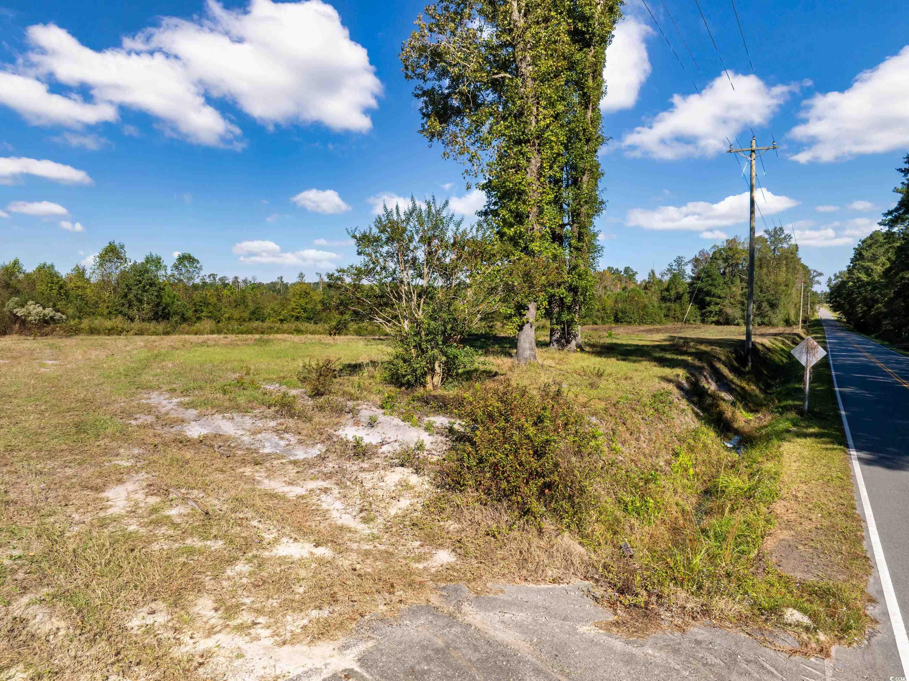 Homes for sale in Galivants Ferry, SC | Tbd J H Martin Rd, Galivants Ferry, SC 29544 | MLS# 2526229