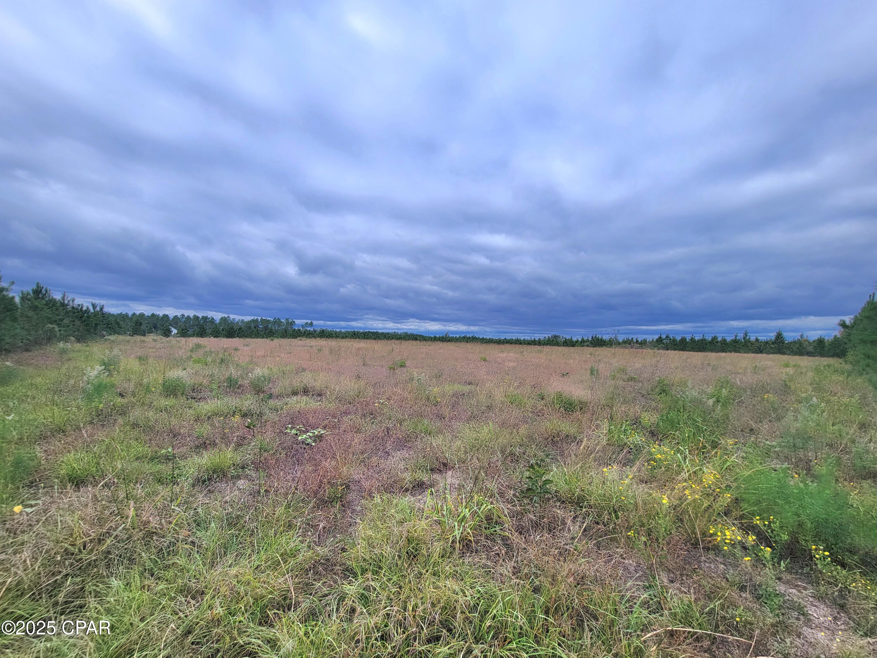 Image 11 For 0 Glenmore Court