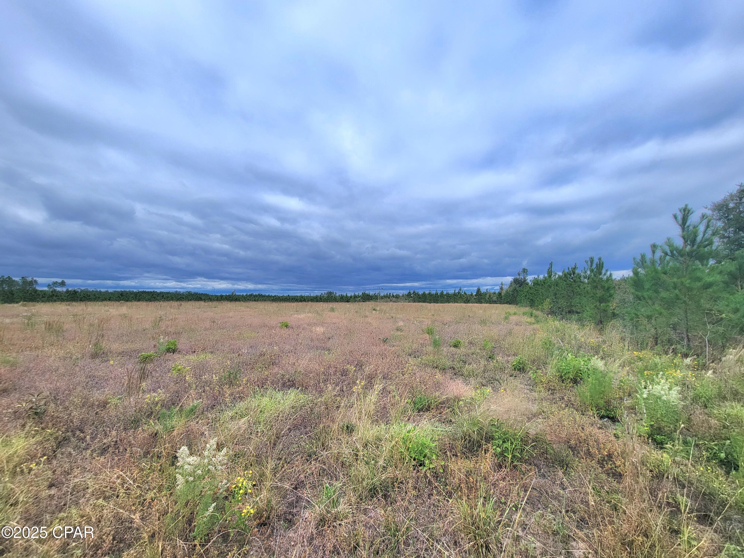 Image 13 For 0 Glenmore Court