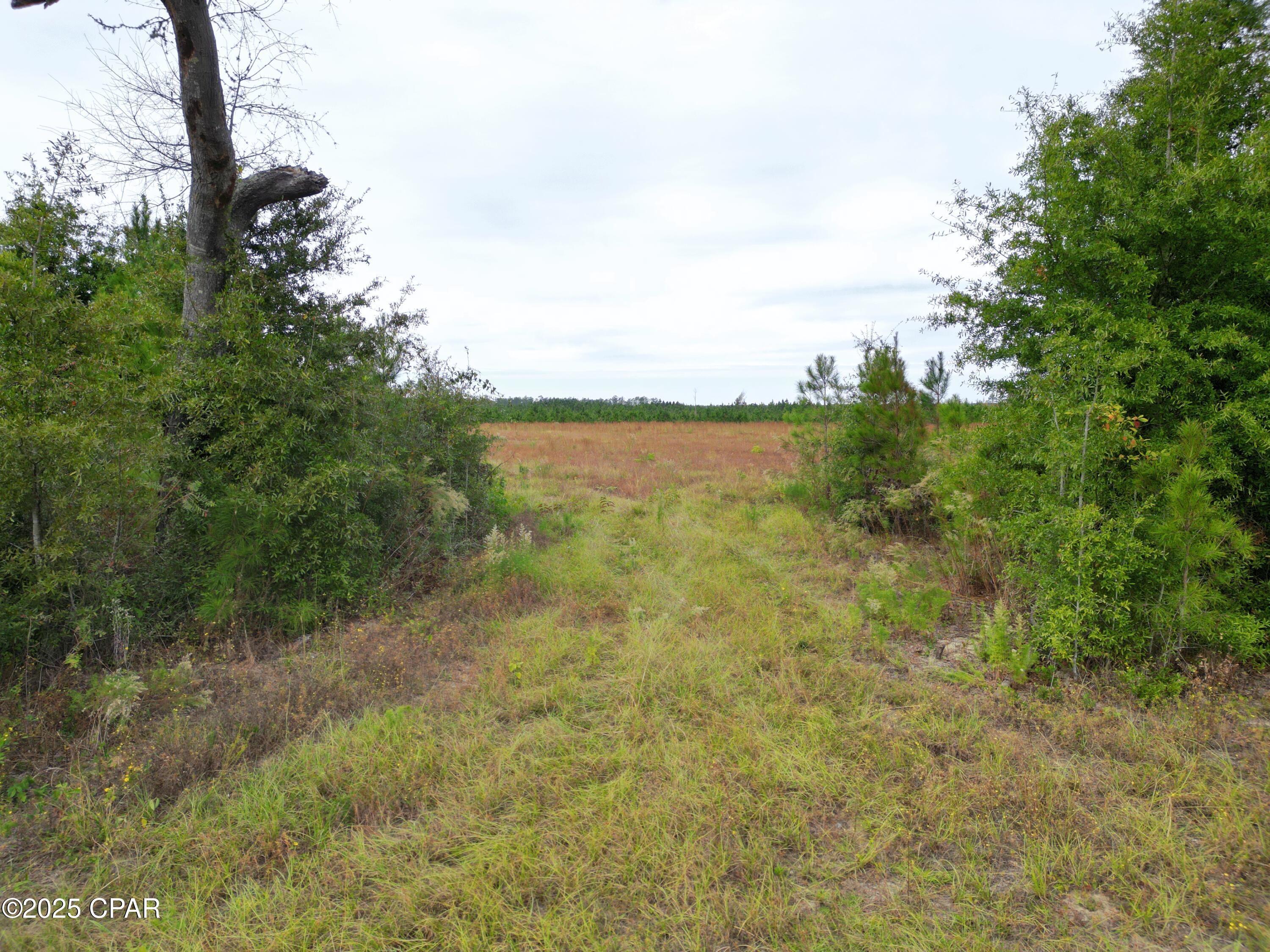 Image 7 For 0 Glenmore Court