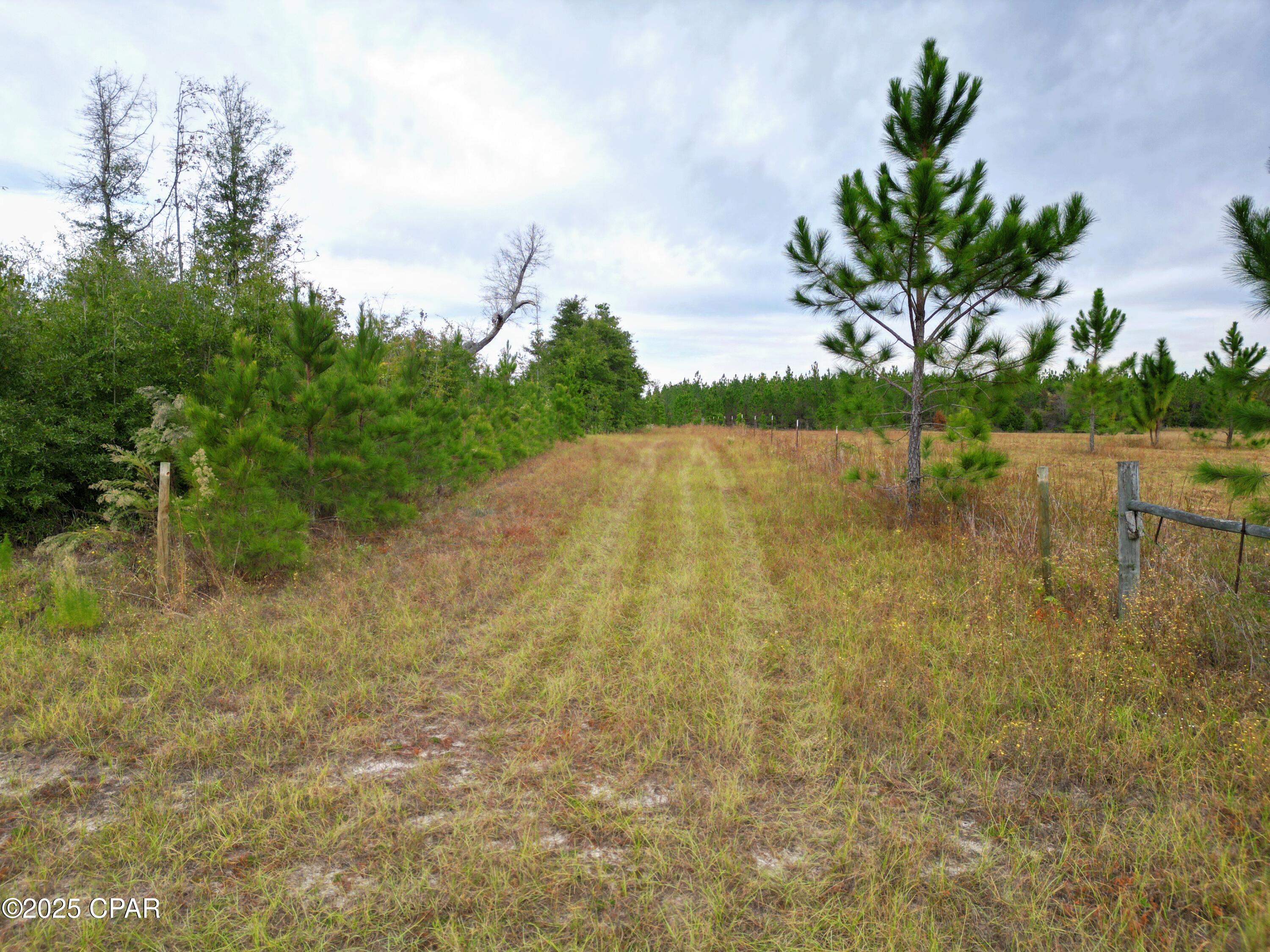 Image 8 For 0 Glenmore Court