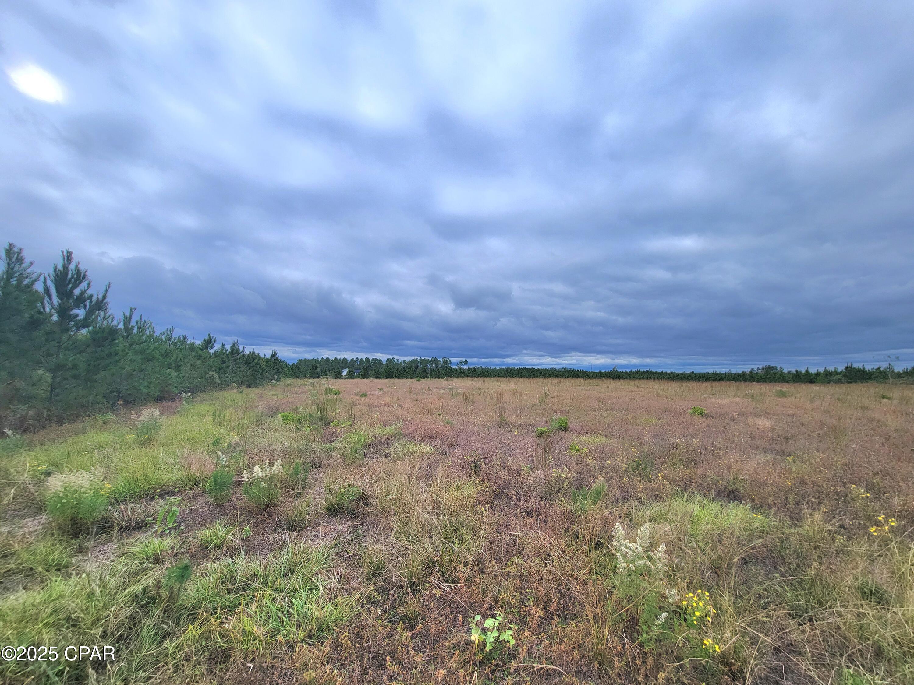 Image 13 For 00 Glenmore Court