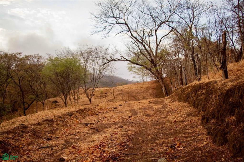 0 bed Land For Sale in Carrillo, Guanacaste - 1