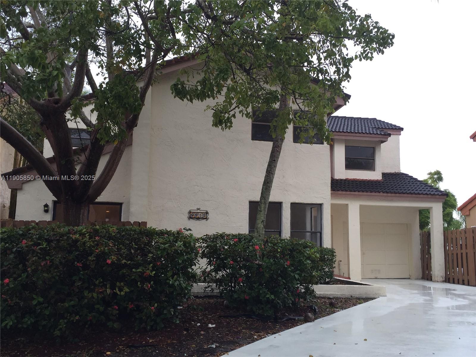 Live Oak Of The Hammocks