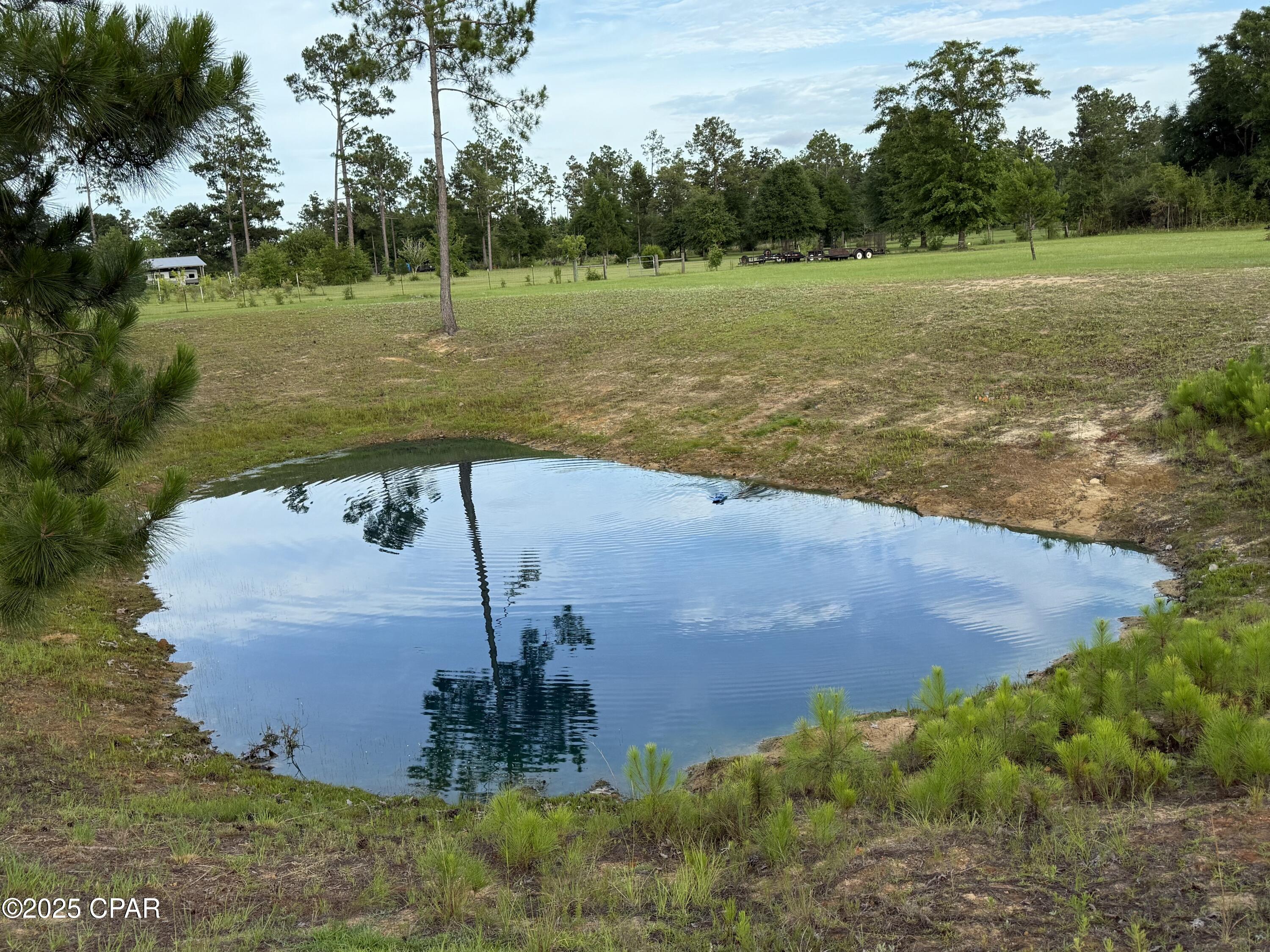 Image 53 For 11832 Owenwood Road