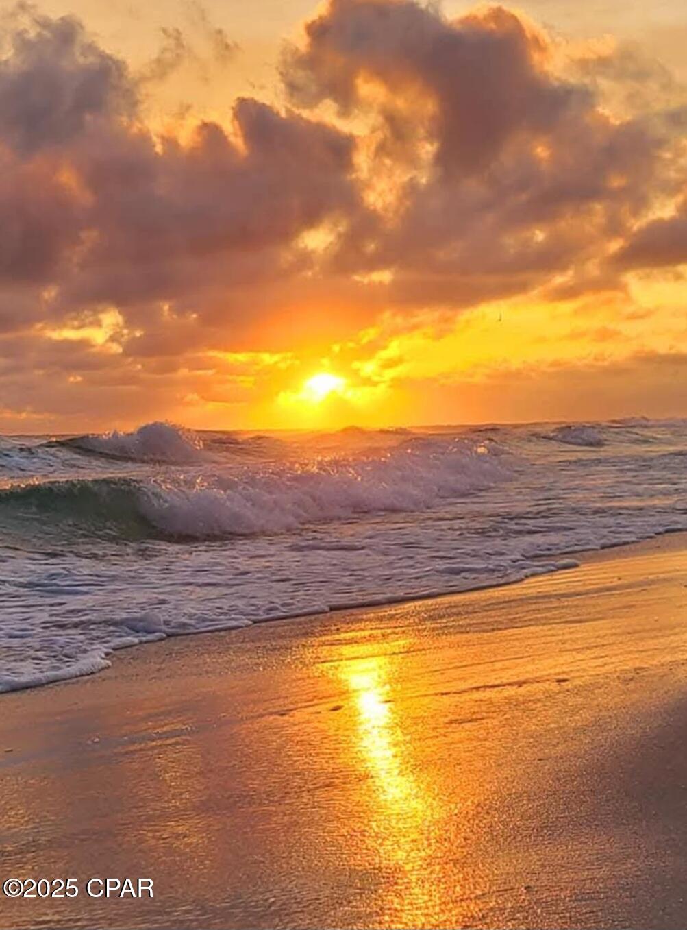 Image 41 For 520 Richard Jackson Boulevard 3308