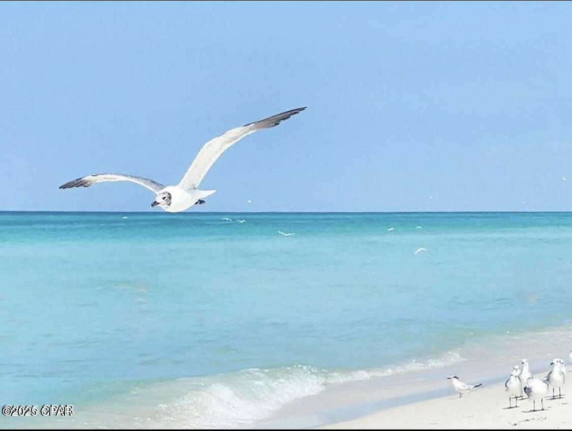 Image 43 For 520 Richard Jackson Boulevard 3308