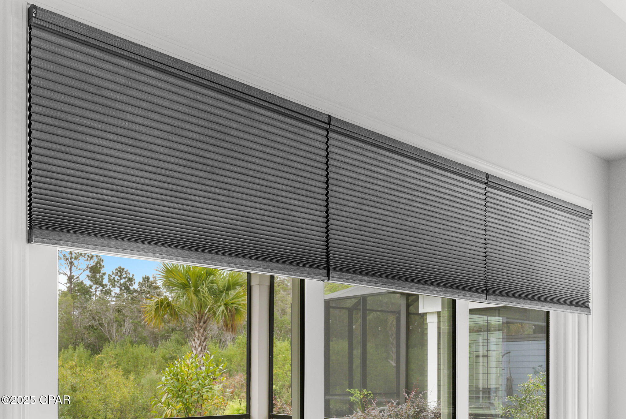 Image 12 For 8619 Margaritaville Boulevard