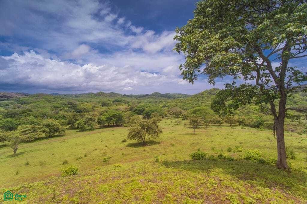 0 bed Land For Sale in Santa Cruz, Guanacaste - 1