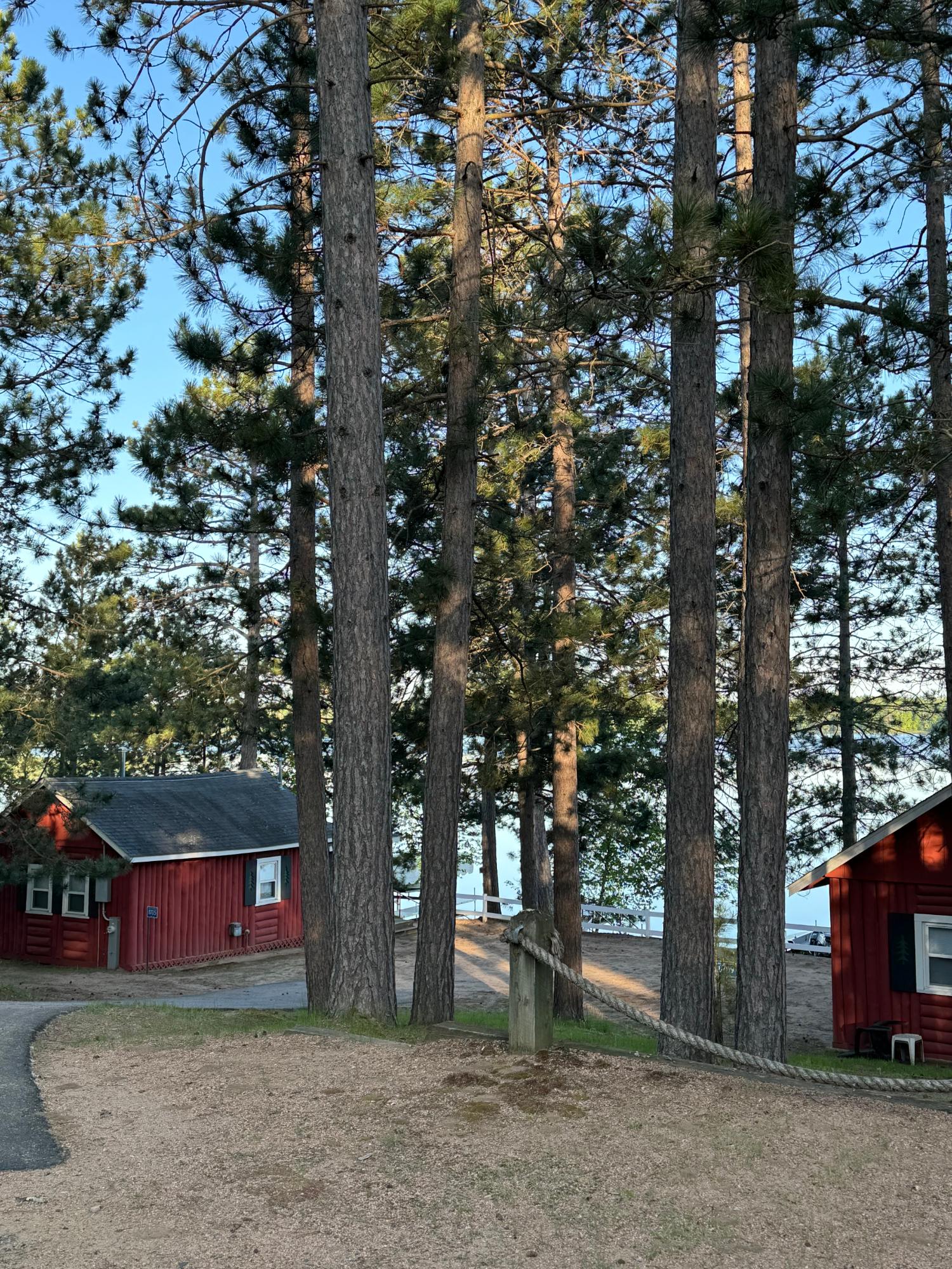 Pickerel Lake (N) Property 8698 Guest Rd Photo 34