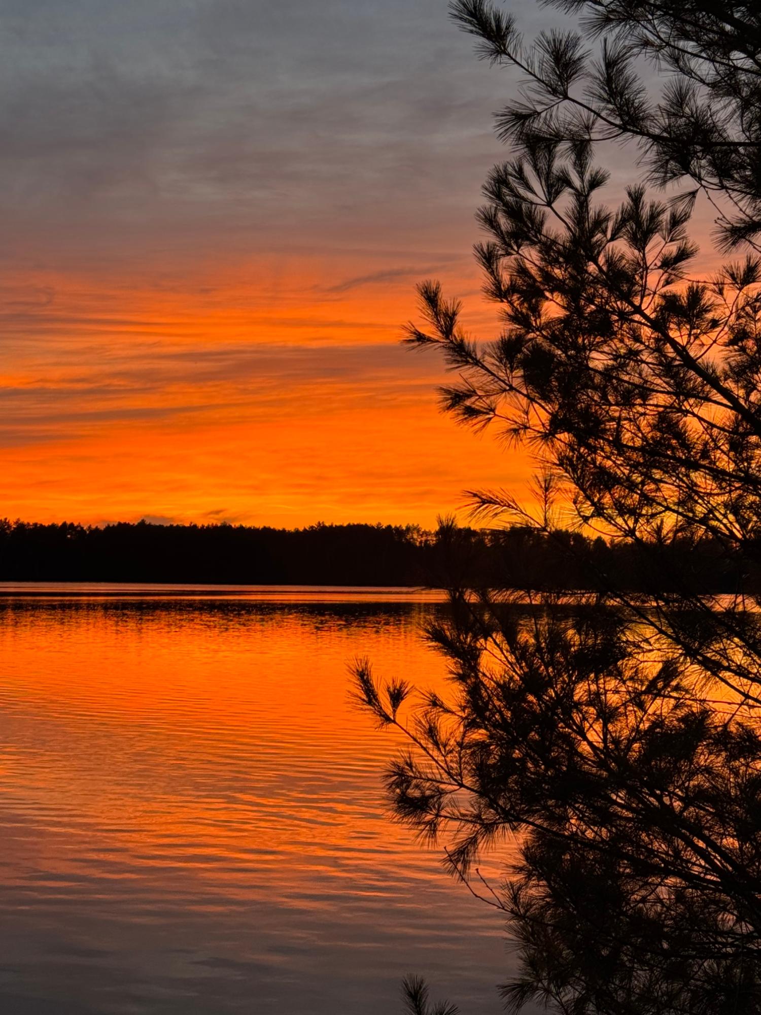 Pickerel Lake (N) Property 8698 Guest Rd Photo 37