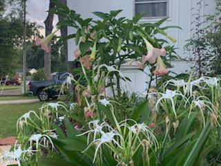 Image 41 For 2962 Dogwood Street