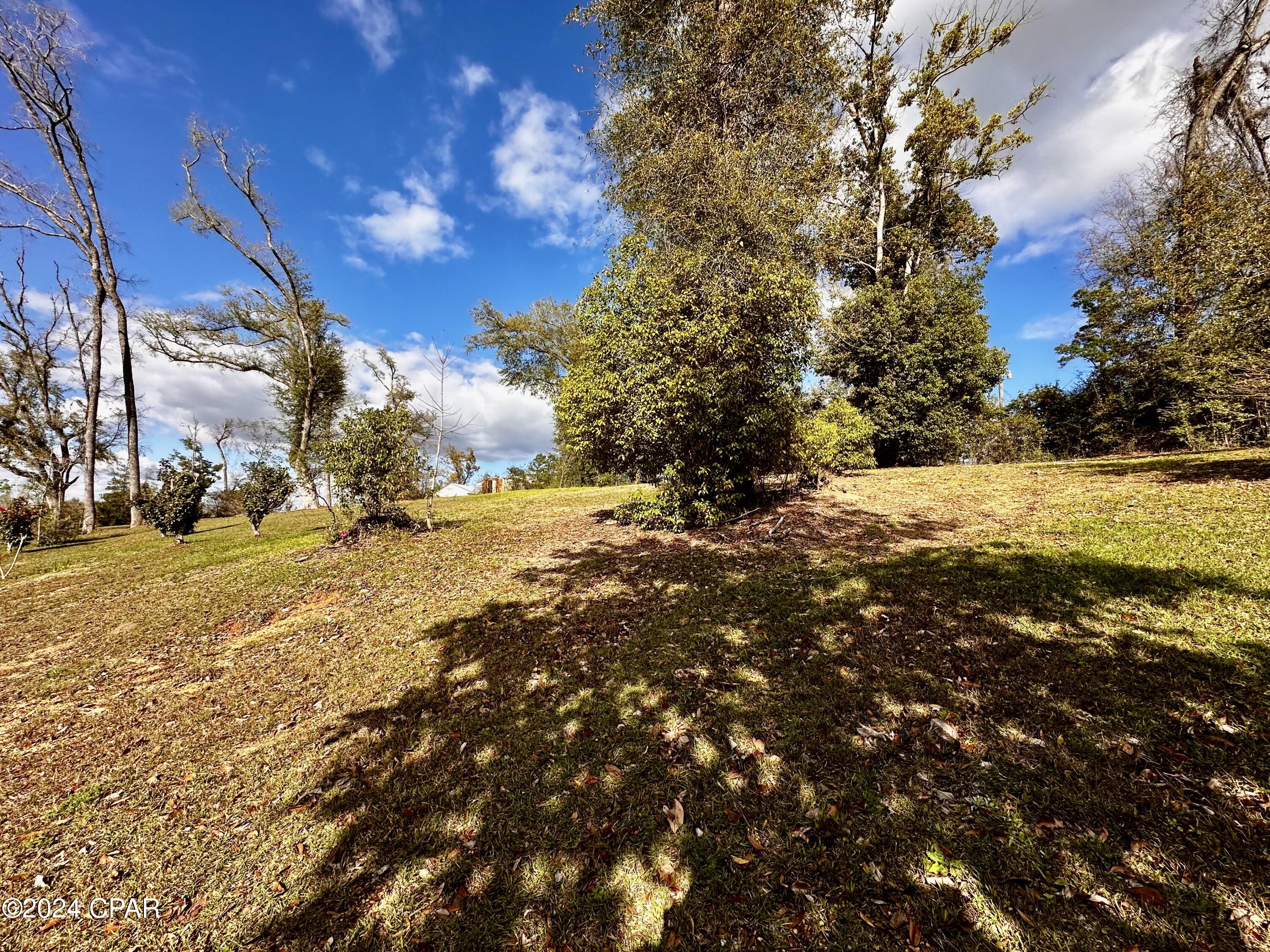 Image 6 For 2962 Dogwood Street