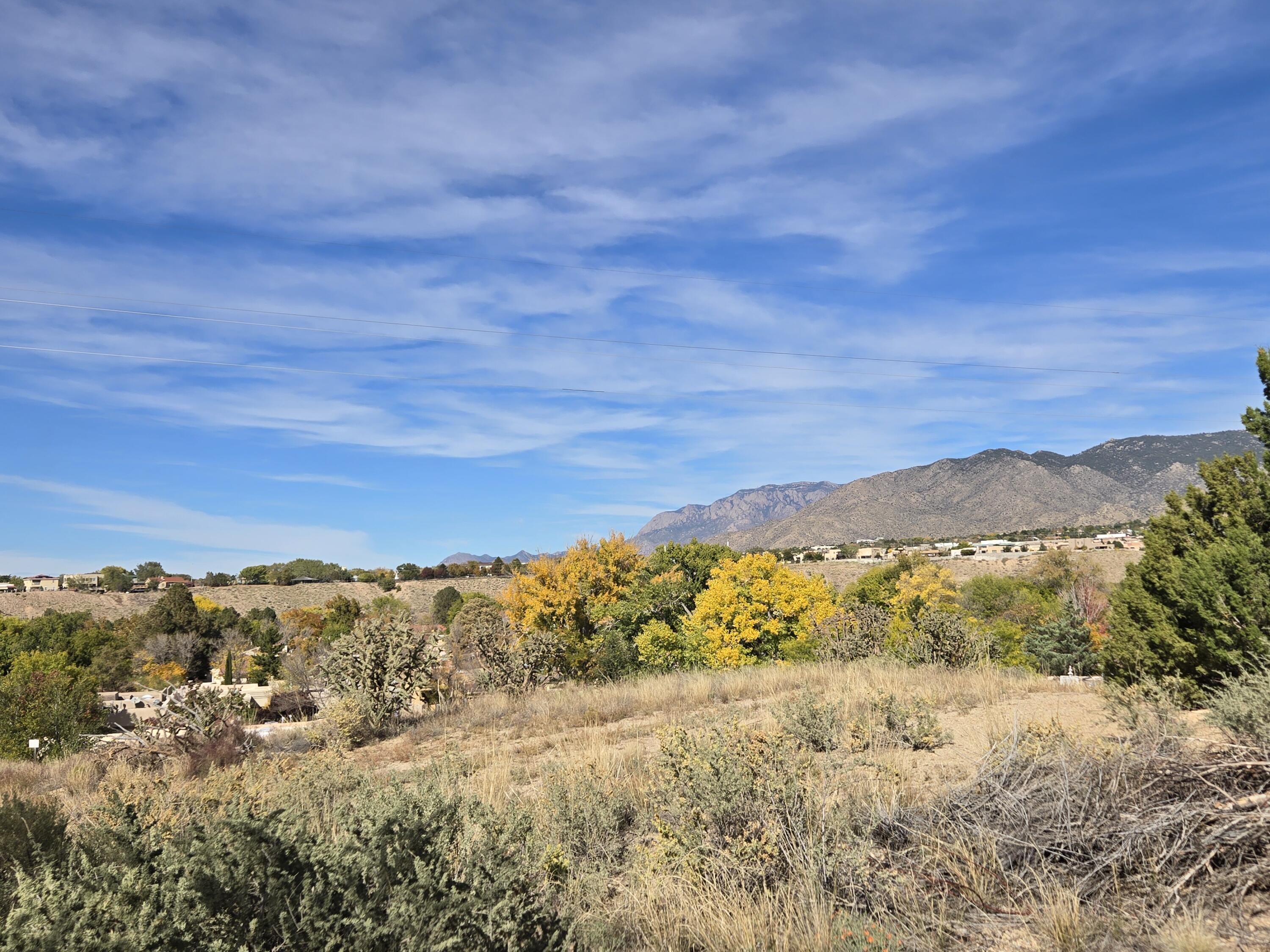 827 CALLE CORONADO SE, ALBUQUERQUE, NM 87123  Photo 2