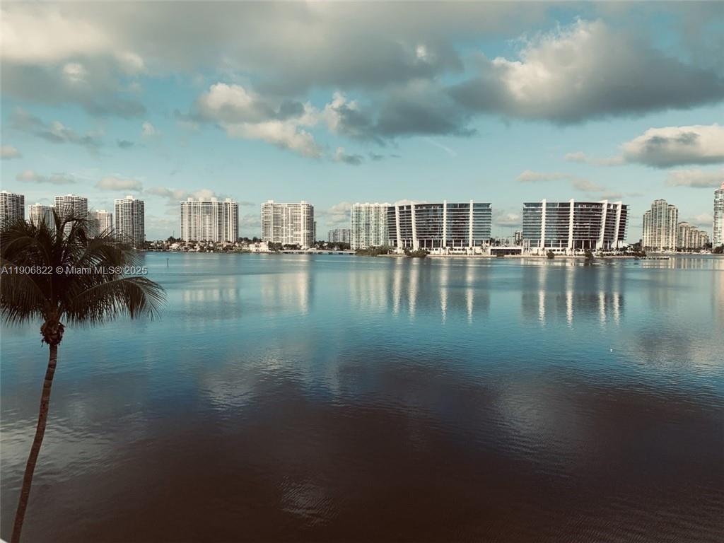 Les Pelicans (The Pelican