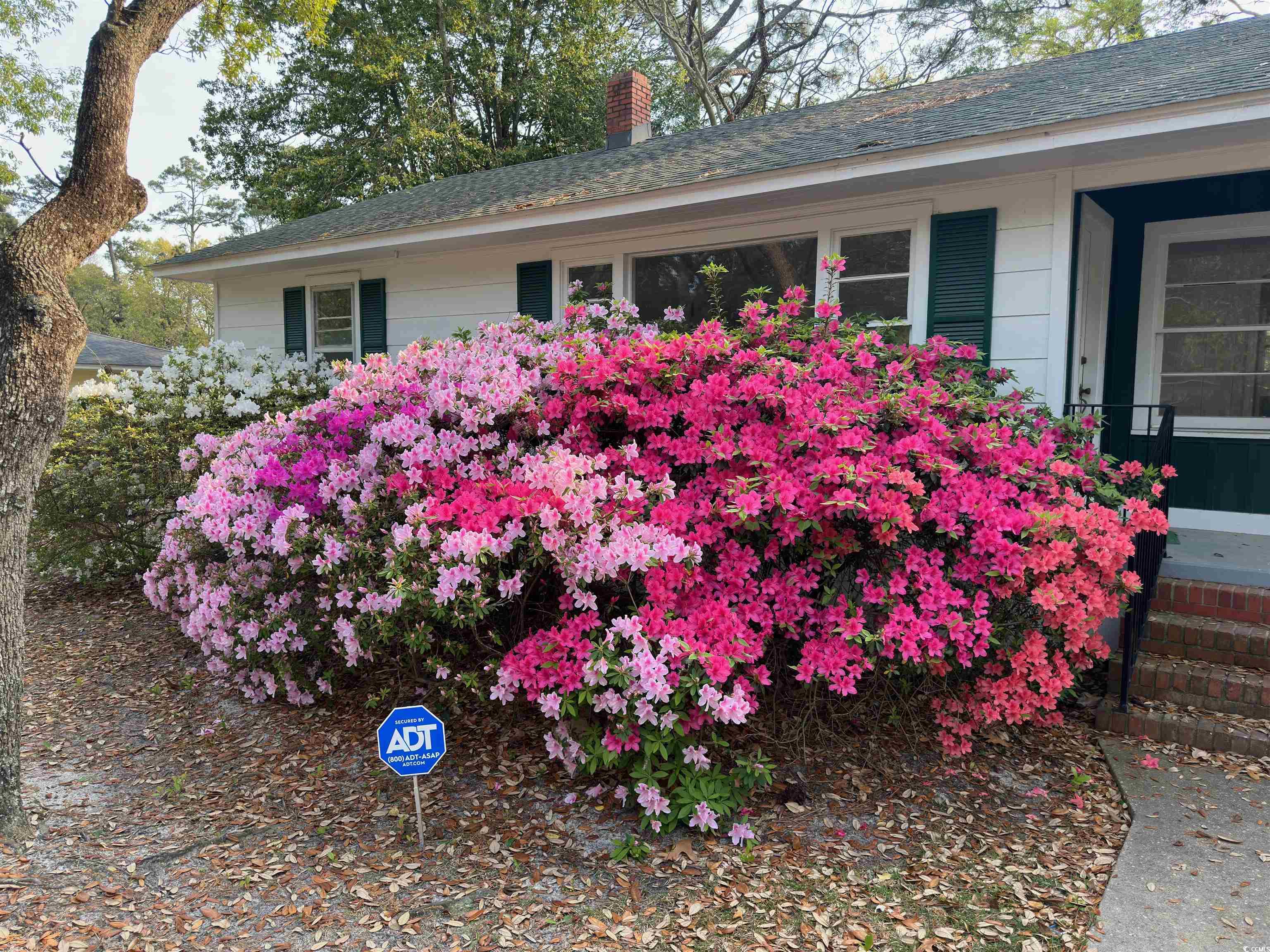 519 32nd Ave. N Myrtle Beach, SC 29577