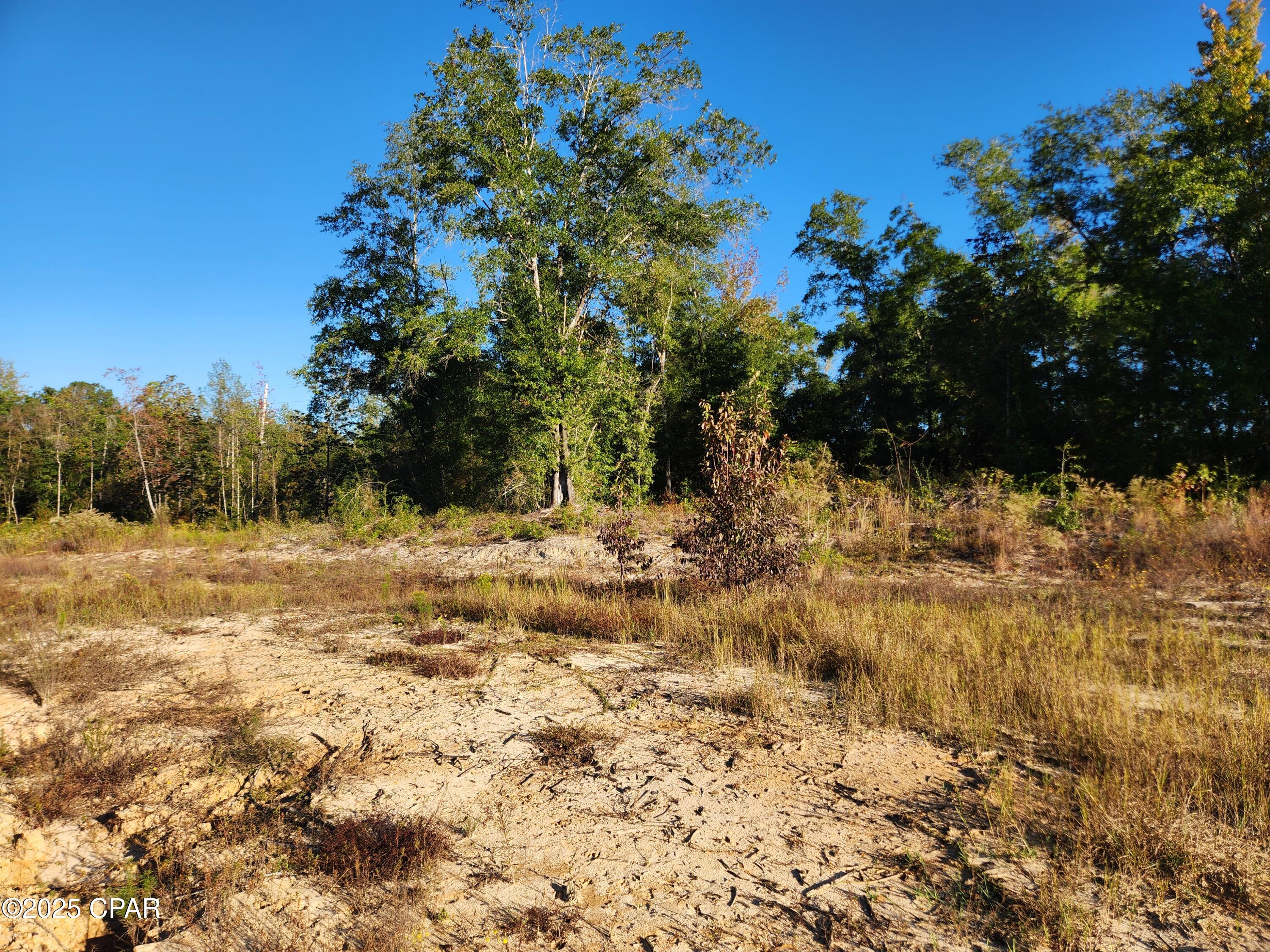 Image 7 For Xxx Sr 20  