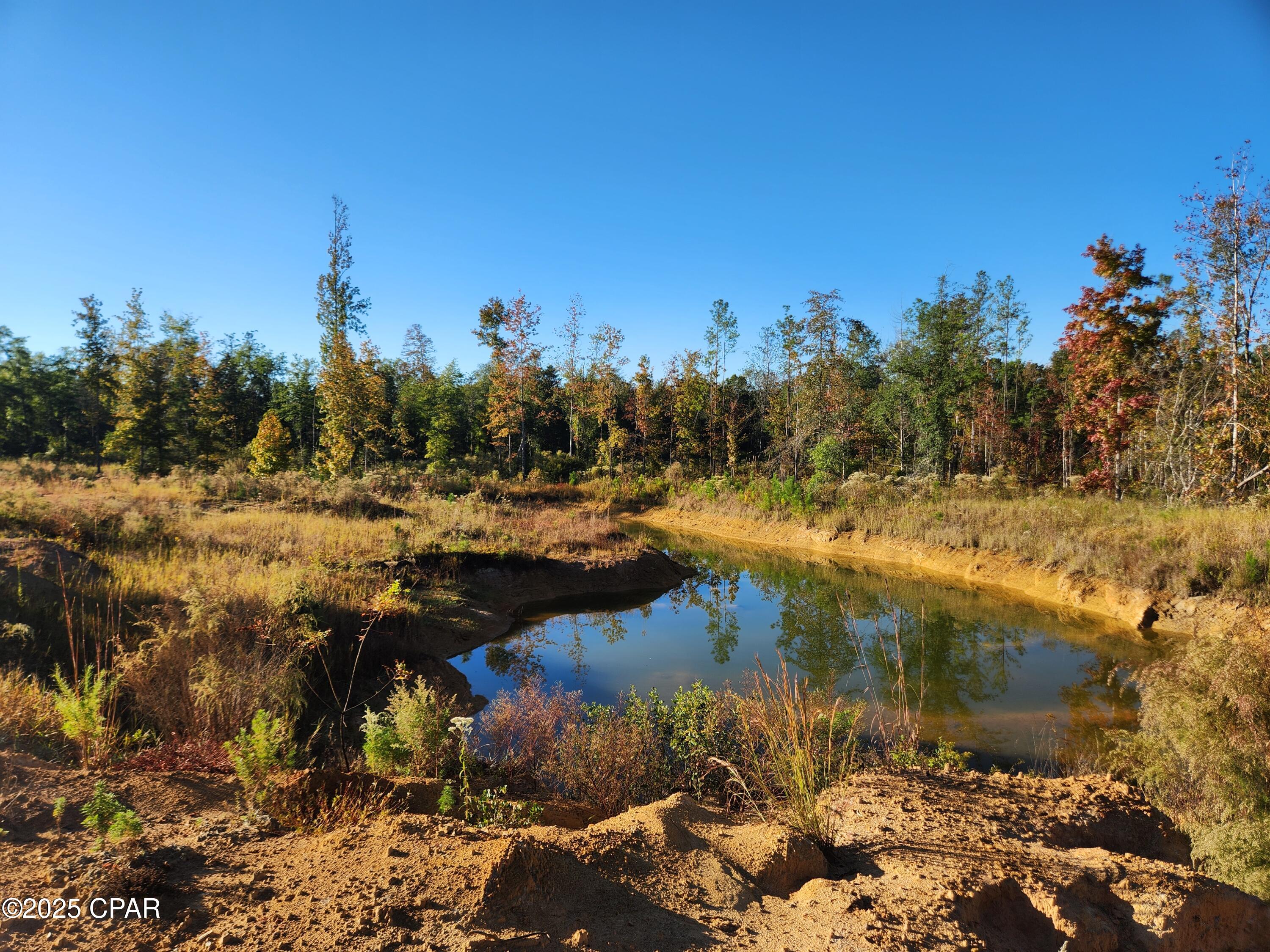 Image 8 For Xxx Sr 20  