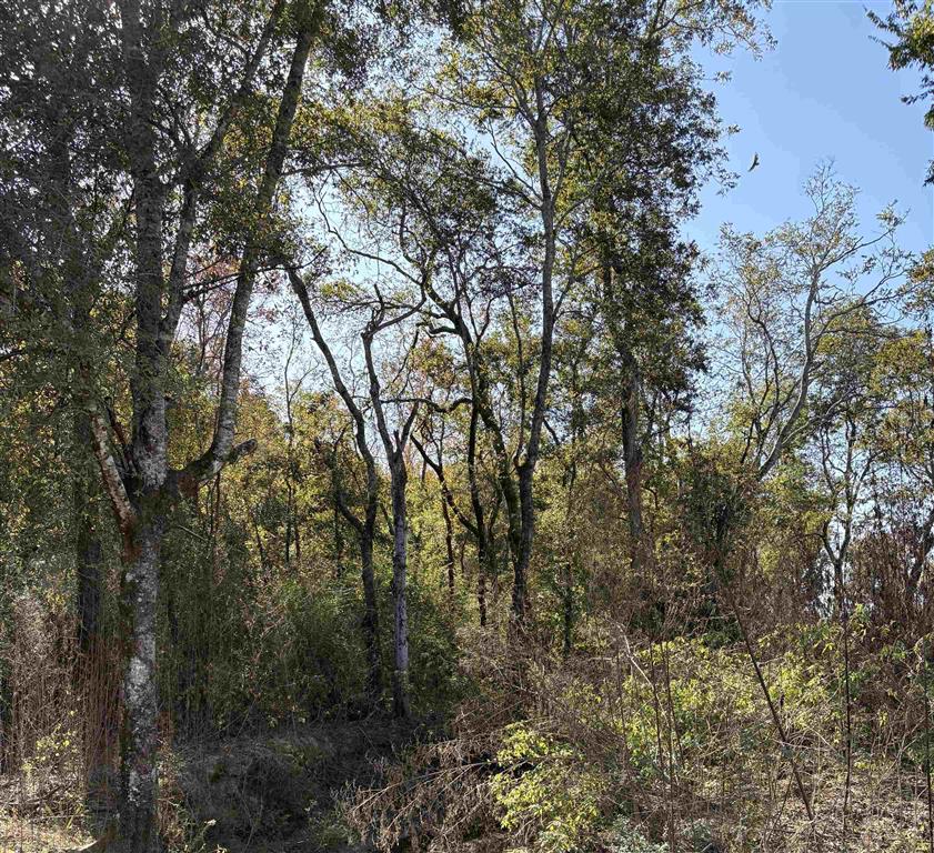 TBD Bucklin Road — photo 2