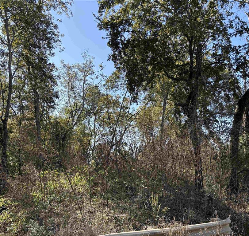 TBD Bucklin Road — photo 4